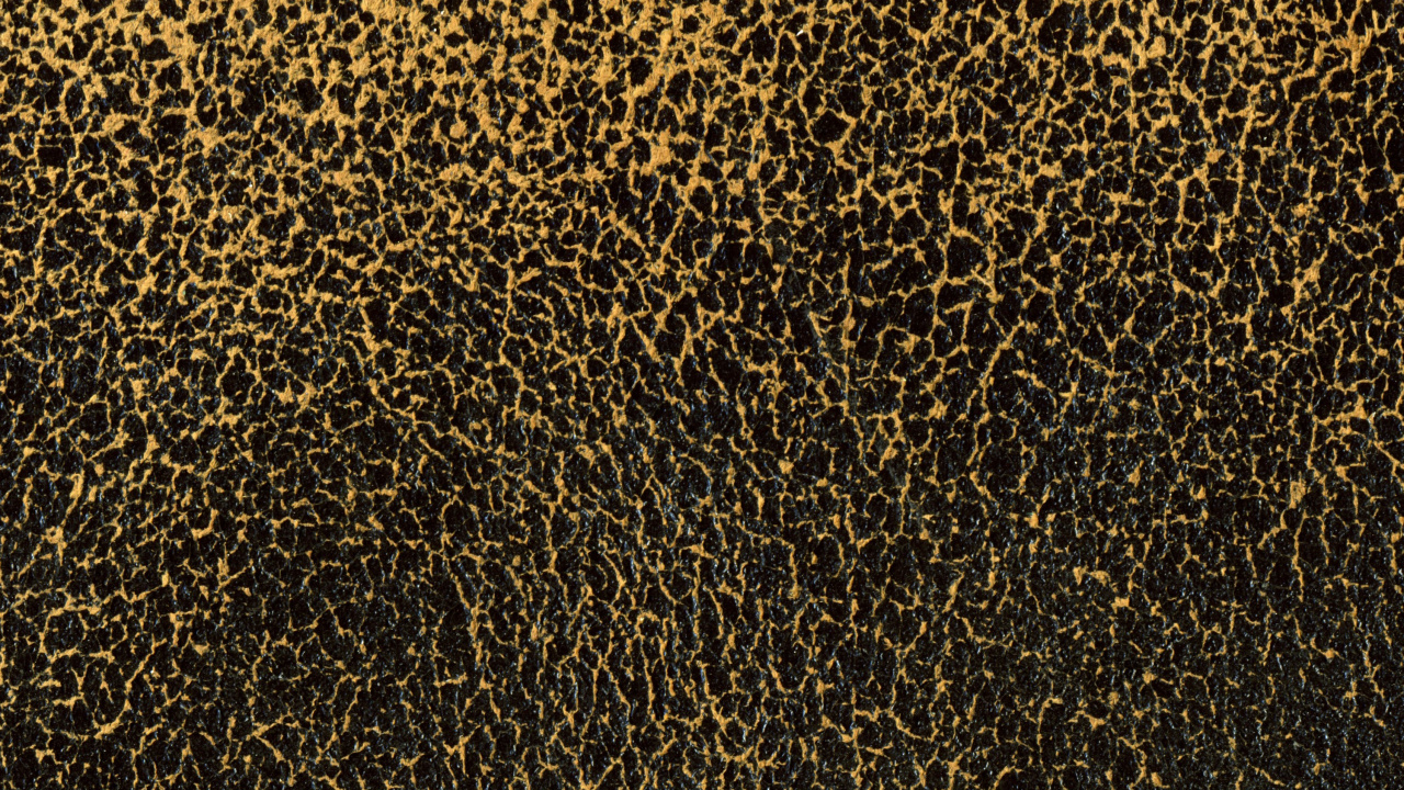 Schwarz-braunes Leopardenmuster. Wallpaper in 1280x720 Resolution