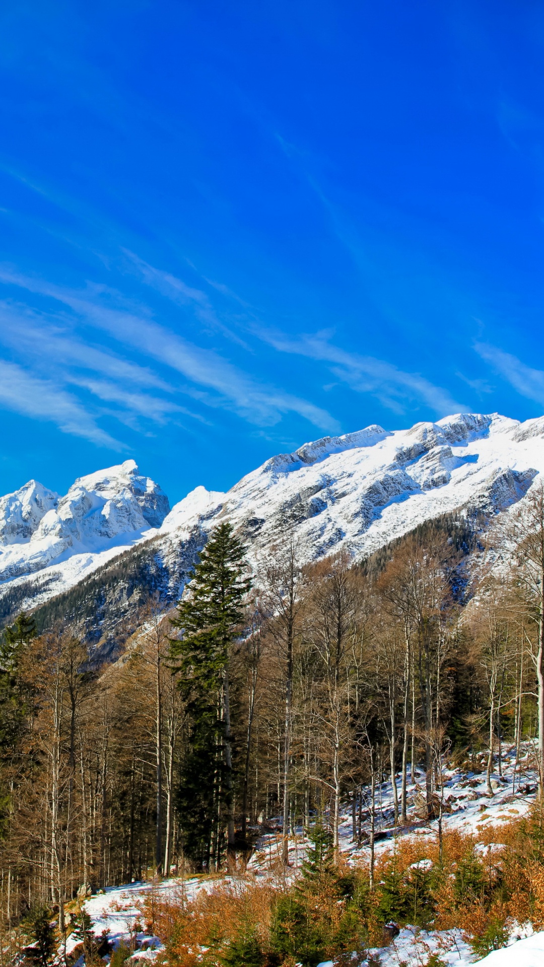 Green Trees Near Snow Covered Mountain Under Blue Sky During Daytime. Wallpaper in 1080x1920 Resolution