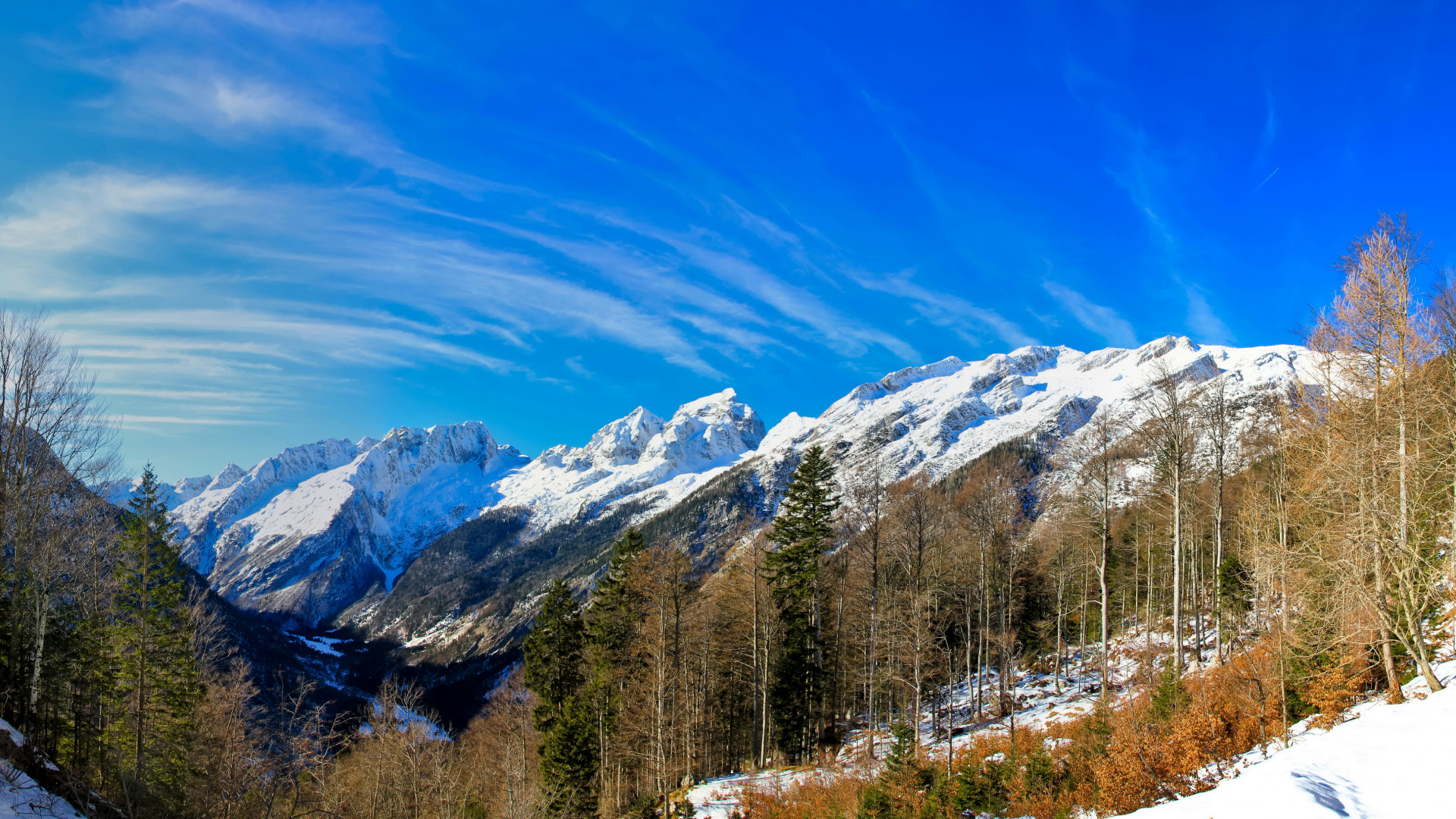 Green Trees Near Snow Covered Mountain Under Blue Sky During Daytime. Wallpaper in 1920x1080 Resolution