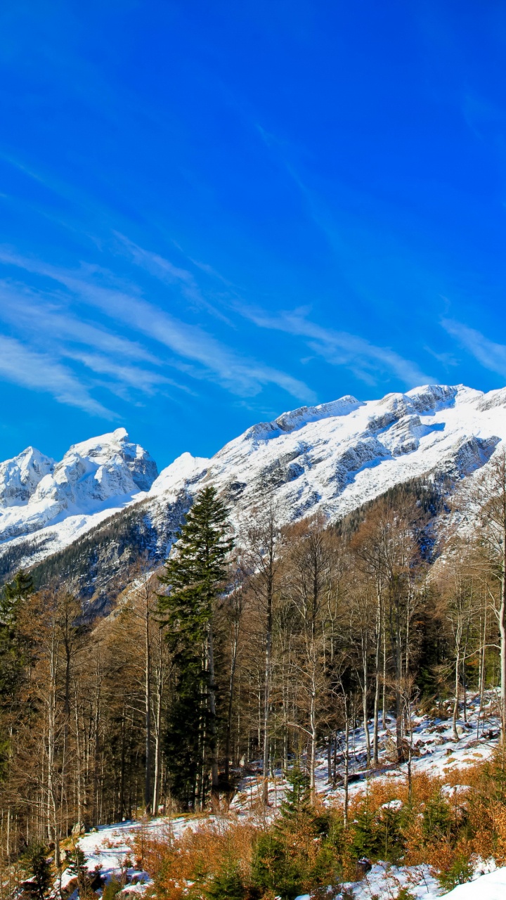 Green Trees Near Snow Covered Mountain Under Blue Sky During Daytime. Wallpaper in 720x1280 Resolution