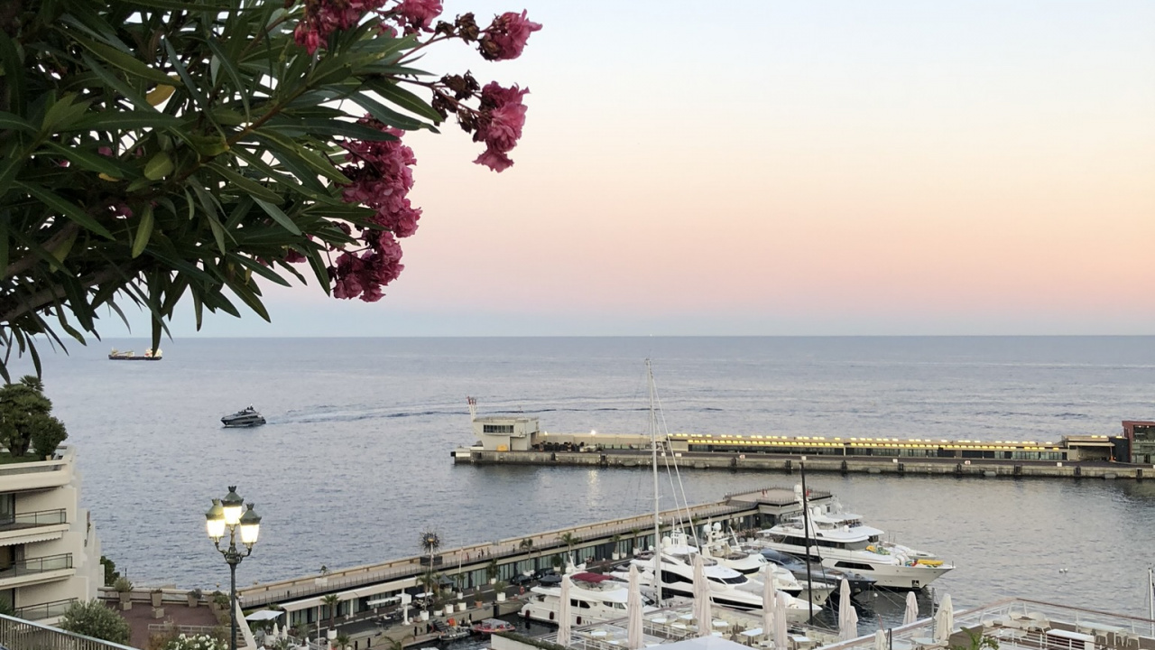 Eau, Biologie, Sciences, Roi, Extérieurs D'automobile. Wallpaper in 1280x720 Resolution