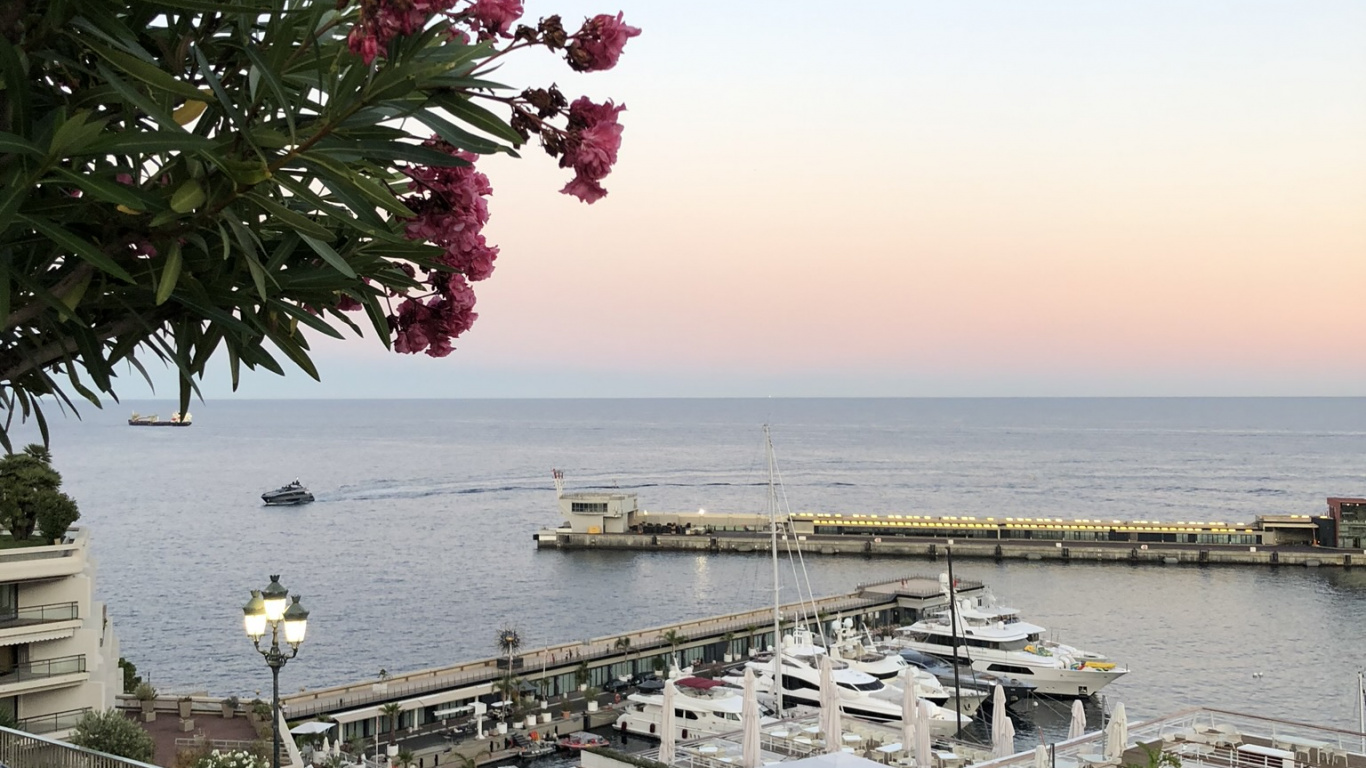 生物学, 科学, 汽车外, 停车场, 船只 壁纸 1366x768 允许