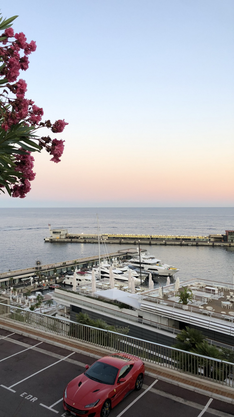 生物学, 科学, 汽车外, 停车场, 船只 壁纸 750x1334 允许