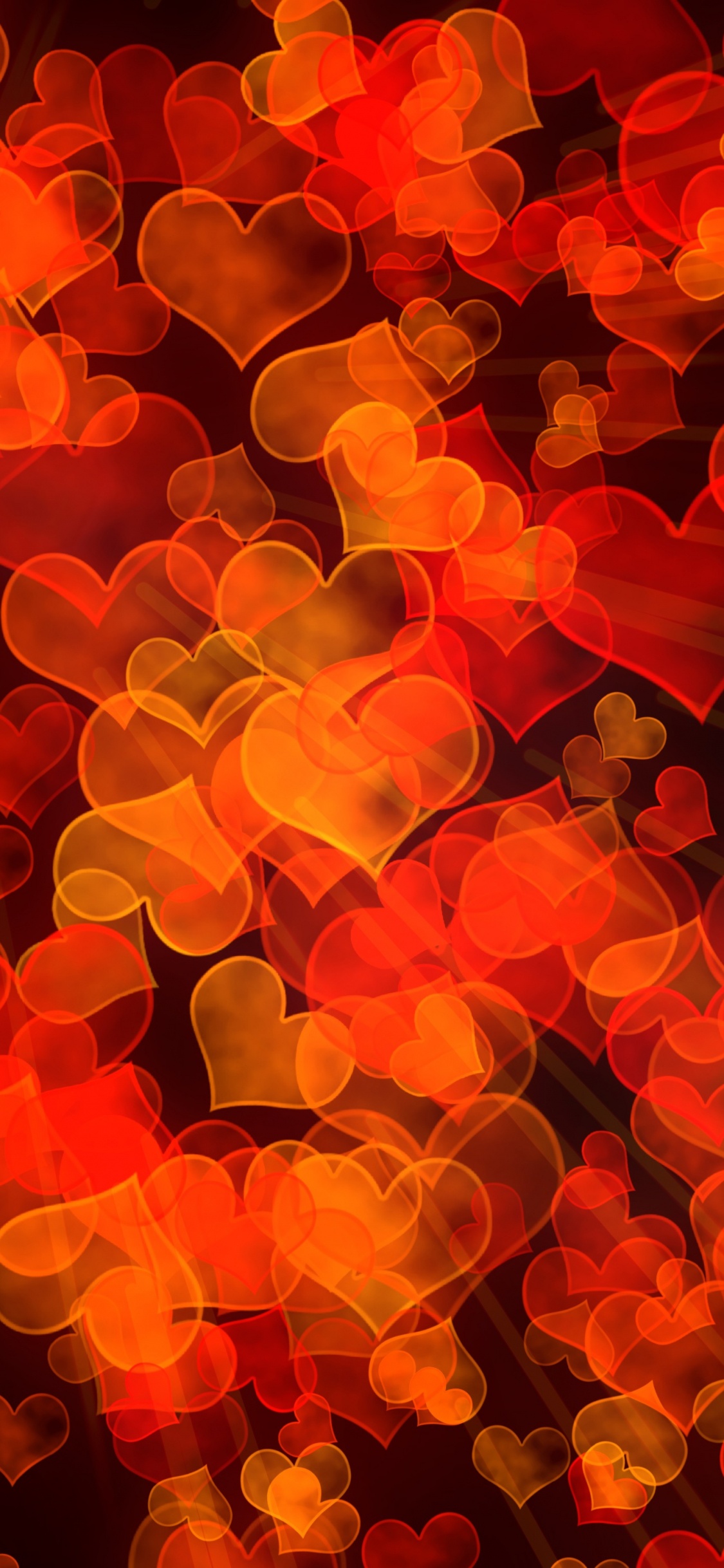 Orange, Heart, Yellow, Petal, Vector Graphics. Wallpaper in 1125x2436 Resolution