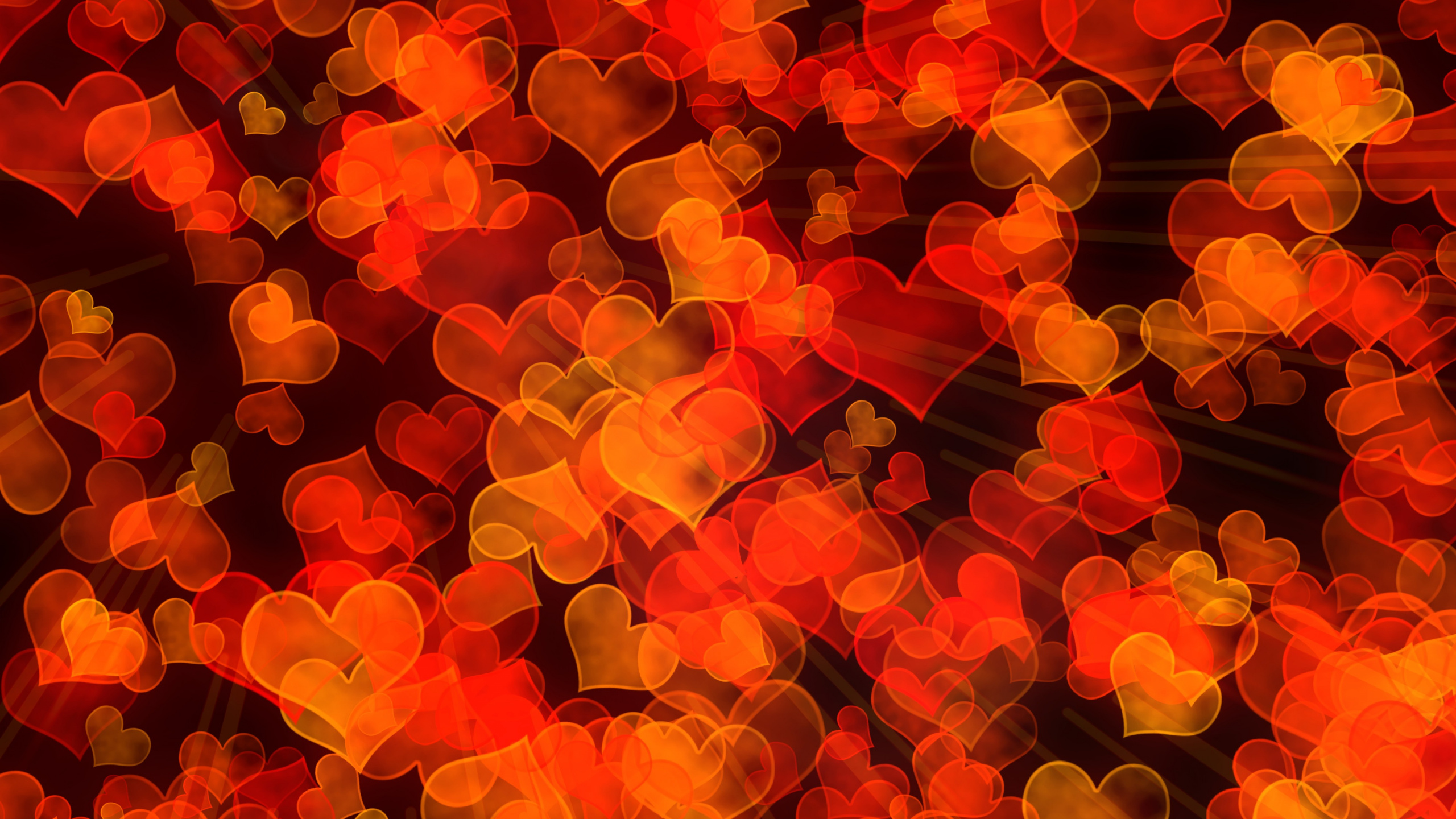 Orange, Heart, Yellow, Petal, Vector Graphics. Wallpaper in 2560x1440 Resolution