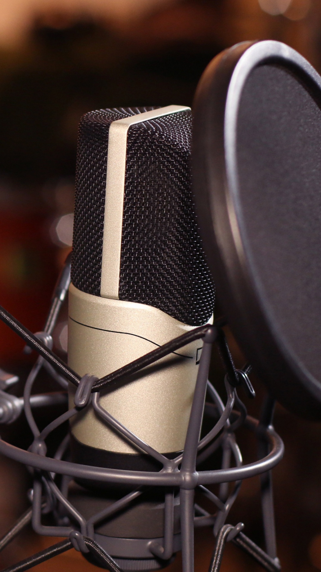 Microphone, Recording Studio, Sound Recording and Reproduction, Audio Equipment, Recording. Wallpaper in 1080x1920 Resolution