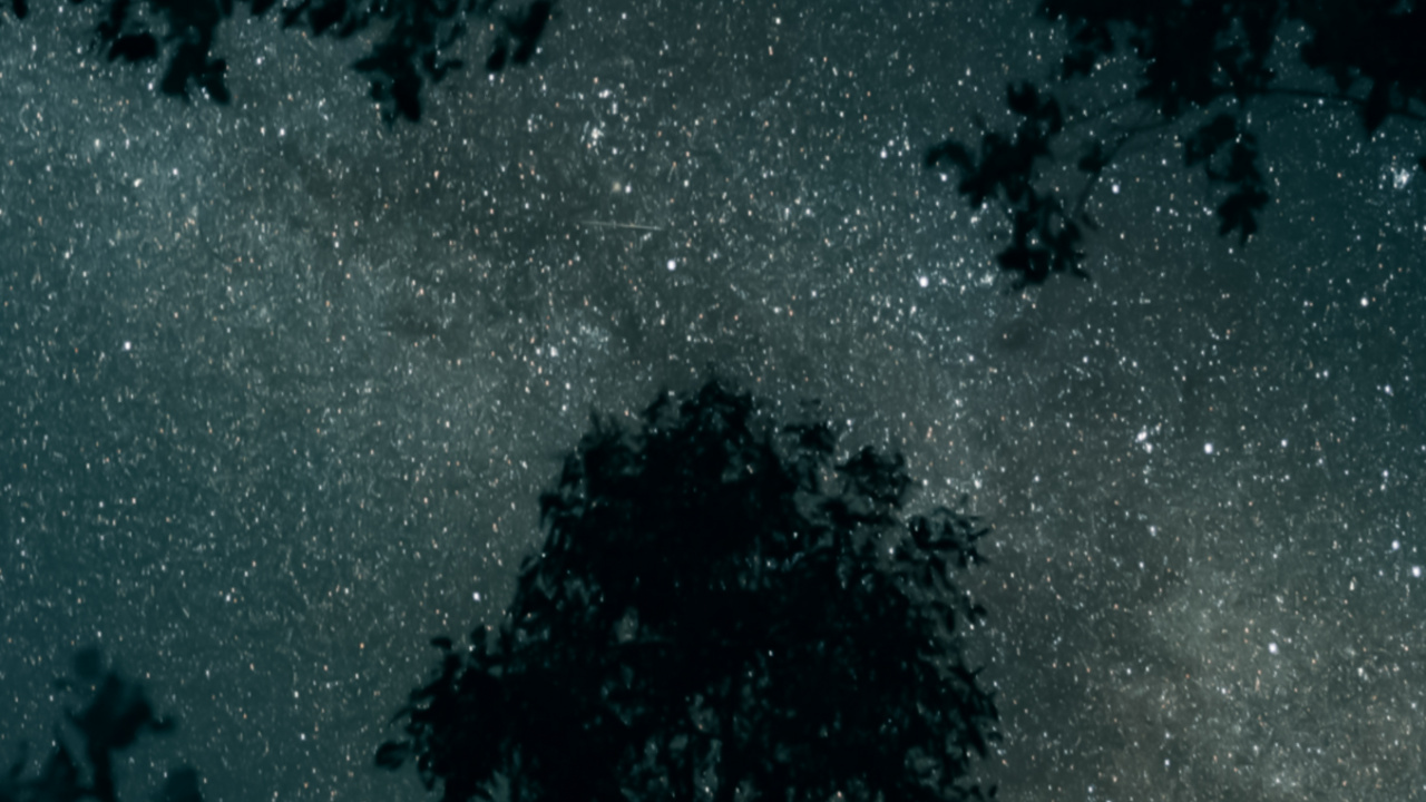 Cloud, Nacht, Atmosphäre, Naturlandschaft, Branch. Wallpaper in 1280x720 Resolution