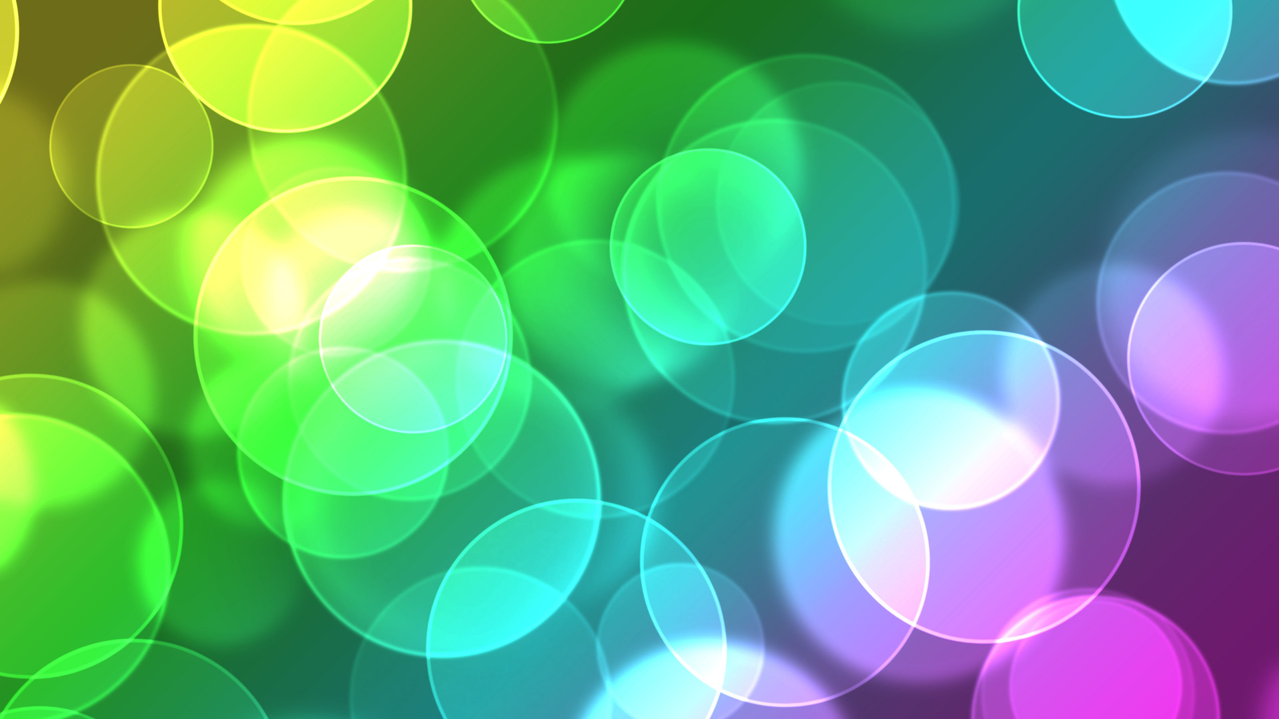 Papier Peint à Pois Violet et Vert. Wallpaper in 2560x1440 Resolution