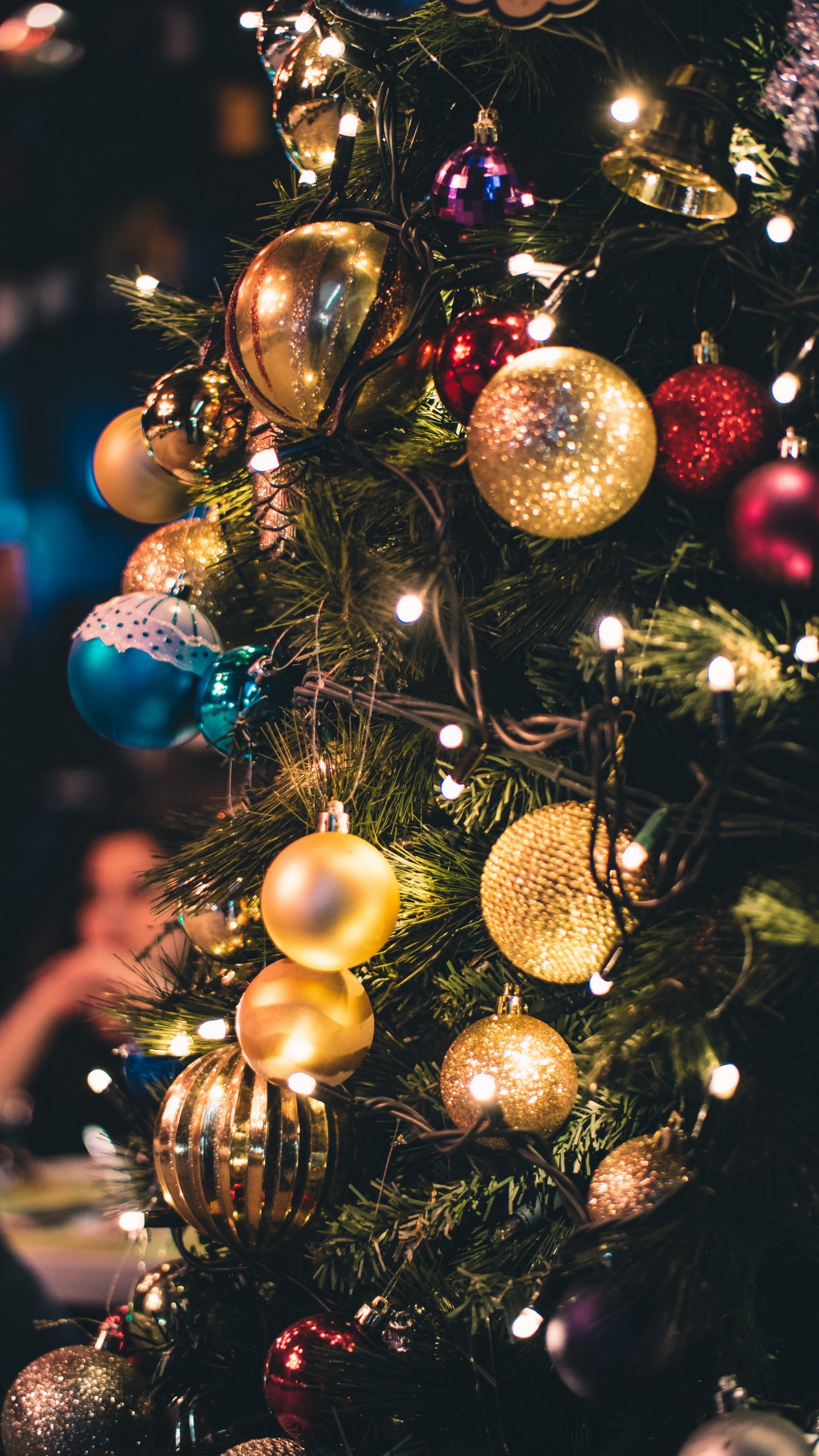 Christmas Lights, Christmas, Christmas Tree, Lighting, Christmas String Lights. Wallpaper in 1440x2560 Resolution