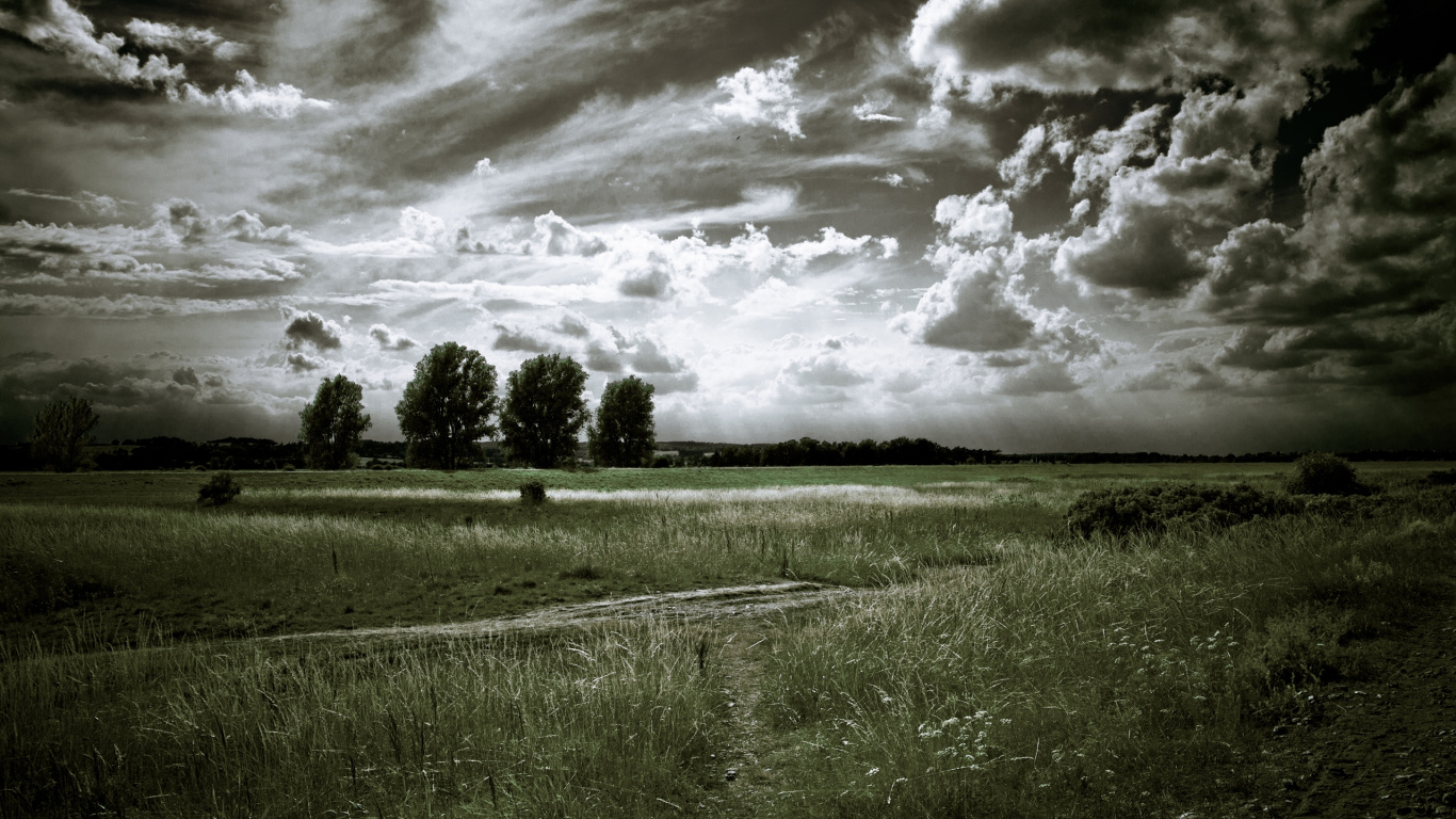 Tagsüber Grüne Wiese Unter Bewölktem Himmel. Wallpaper in 1366x768 Resolution