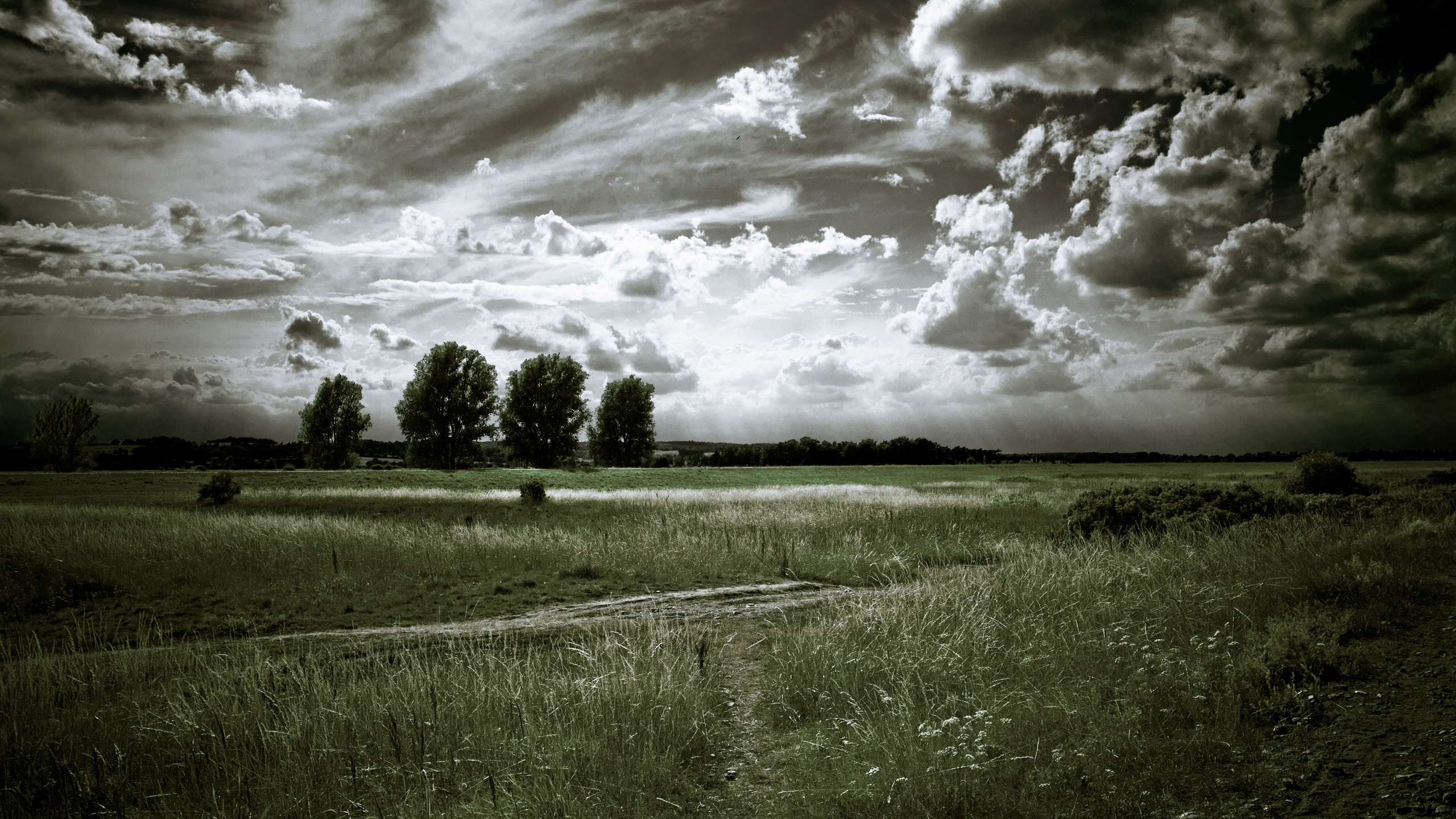 Green Grass Field Under Cloudy Sky During Daytime. Wallpaper in 2560x1440 Resolution