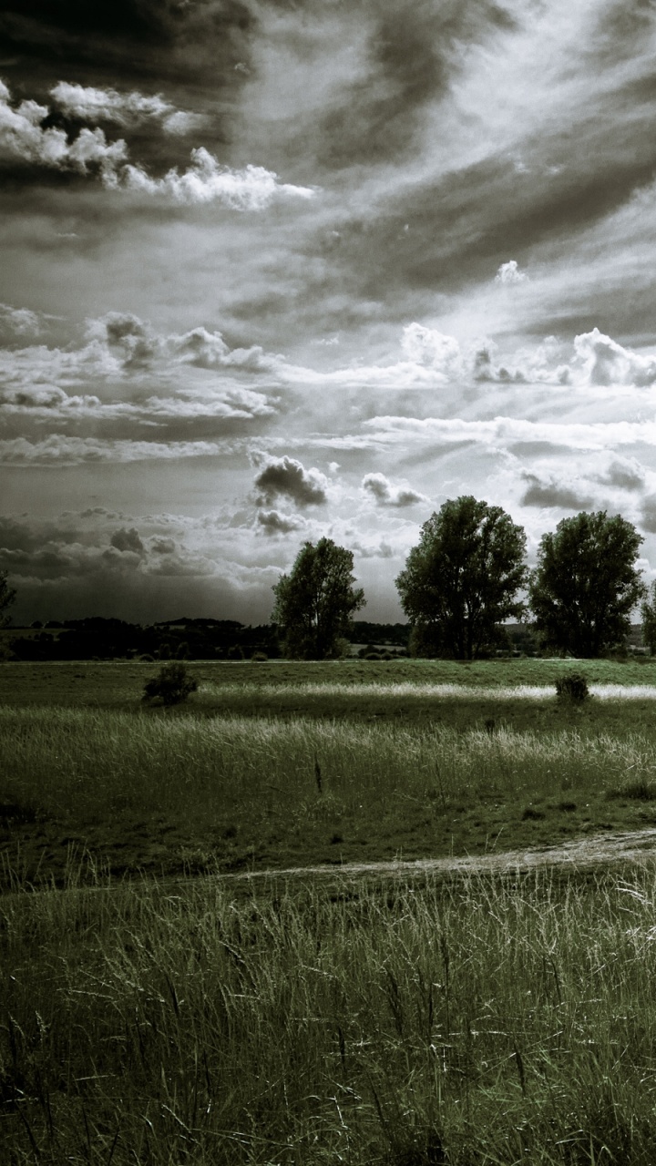 Green Grass Field Under Cloudy Sky During Daytime. Wallpaper in 720x1280 Resolution