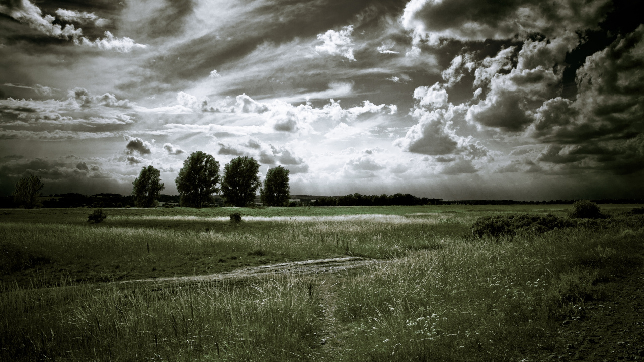 Campo de Hierba Verde Bajo el Cielo Nublado Durante el Día. Wallpaper in 1280x720 Resolution