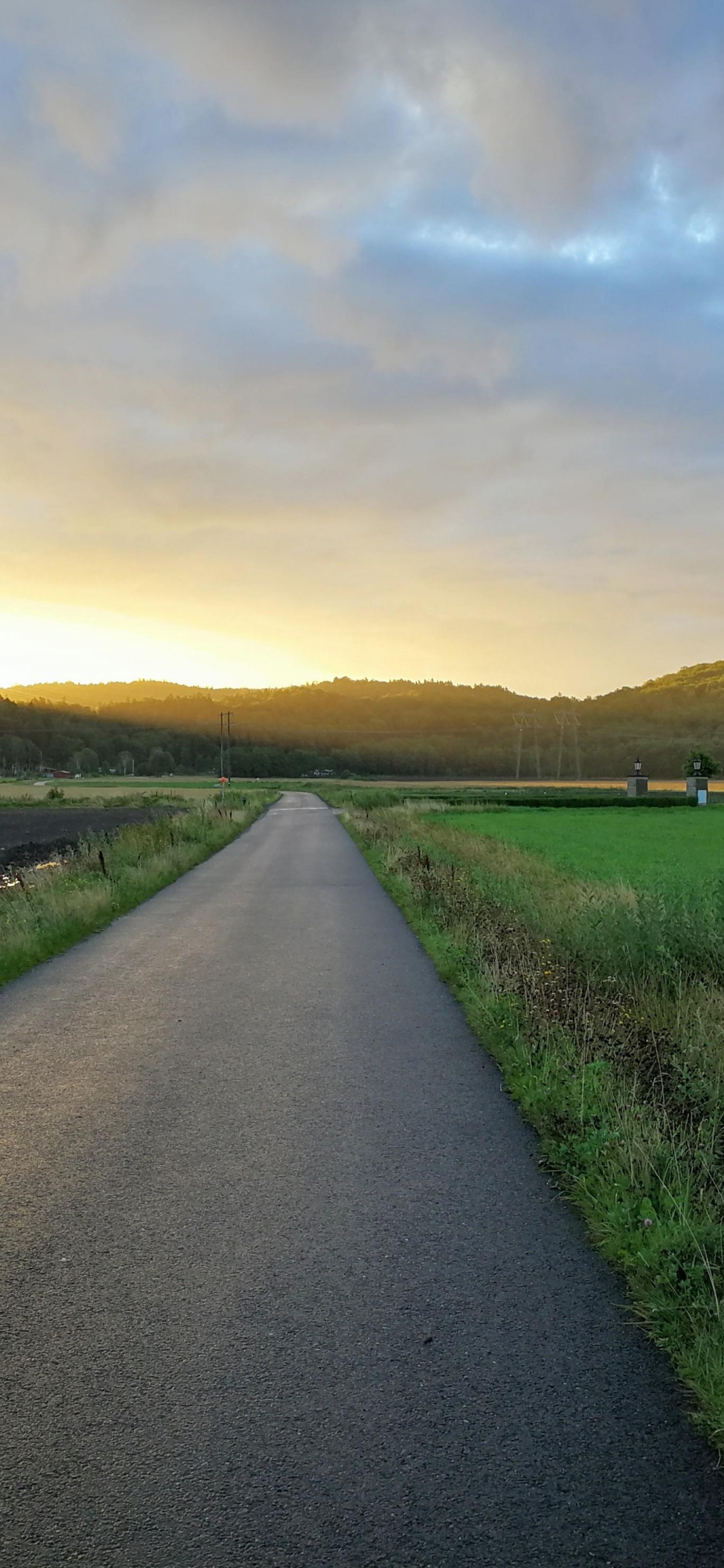 L'écorégion, Paysage Naturel, Surface de la Route, Asphalt. Wallpaper in 1125x2436 Resolution