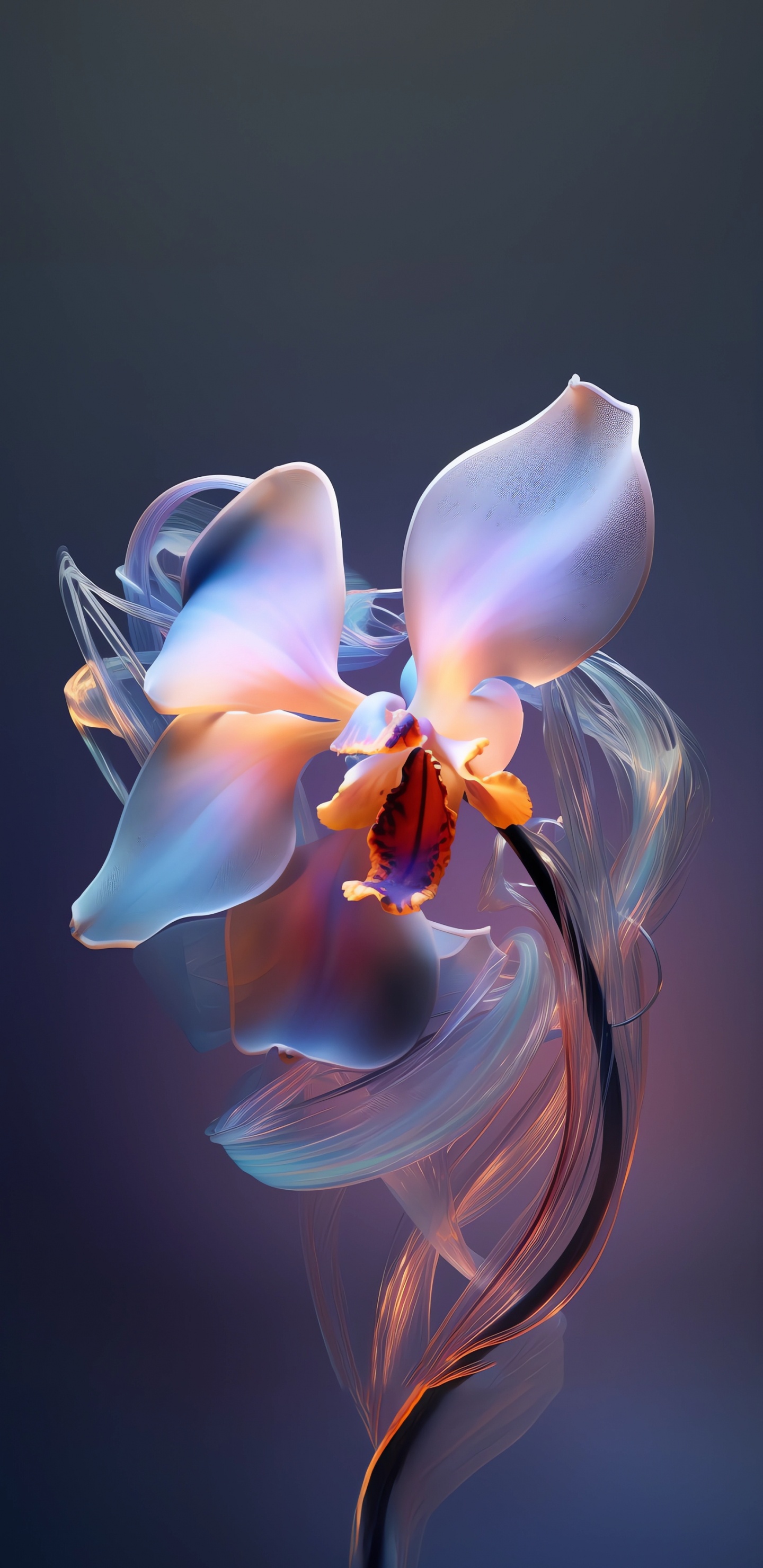 Orchid, Flower, Petal, Plant, Terrestrial Plant. Wallpaper in 1440x2960 Resolution