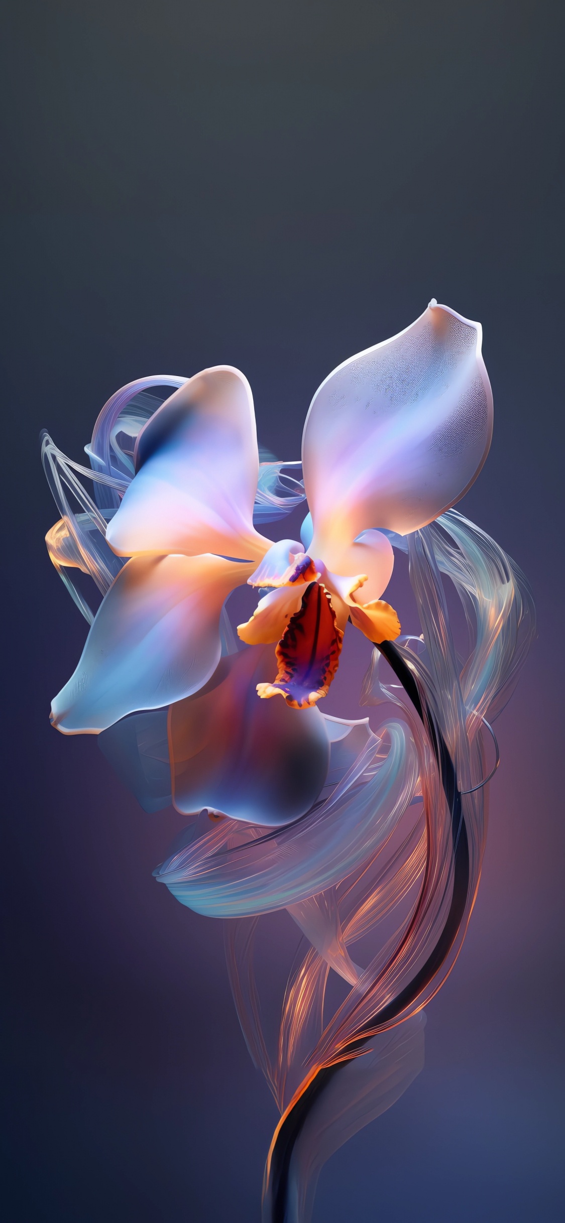 Orchidee, Blütenblatt, Terrestrische Pflanzen, Kunst, Electric Blue. Wallpaper in 1125x2436 Resolution