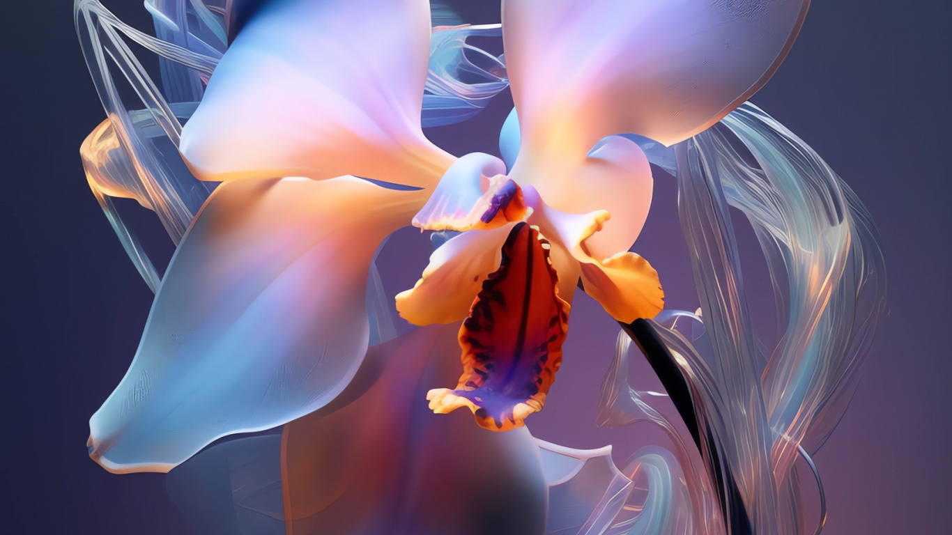 Orquídea, Pétalo, Planta Terrestre, Arte, la Floración de la Planta. Wallpaper in 1366x768 Resolution