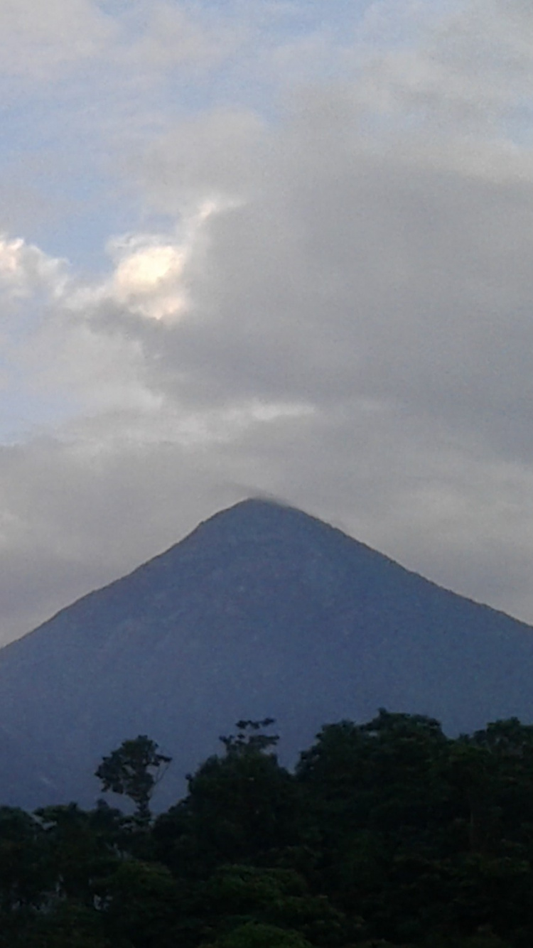 Arbres Verts et Montagne Sous Des Nuages Blancs. Wallpaper in 750x1334 Resolution