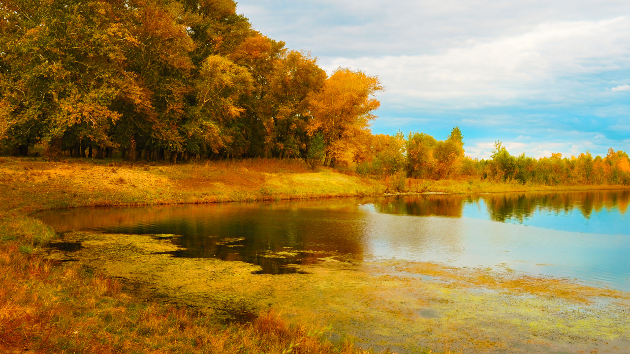 Green and Brown Trees Beside River Under Blue Sky During Daytime. Wallpaper in 1280x720 Resolution