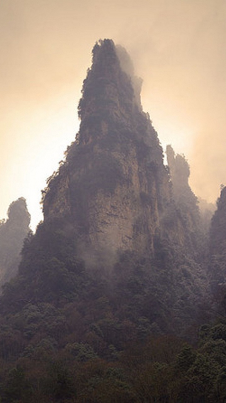 Green Trees on Mountain During Daytime. Wallpaper in 720x1280 Resolution