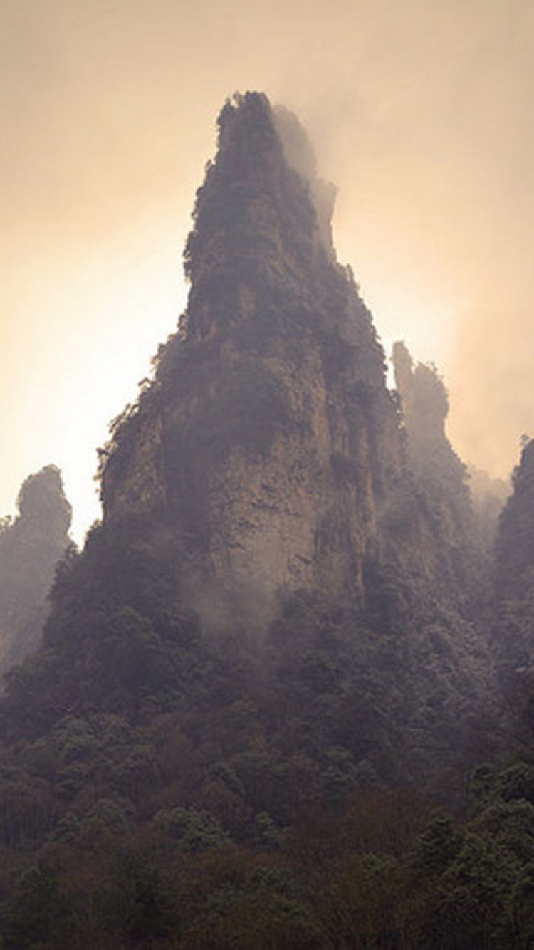 Green Trees on Mountain During Daytime. Wallpaper in 750x1334 Resolution