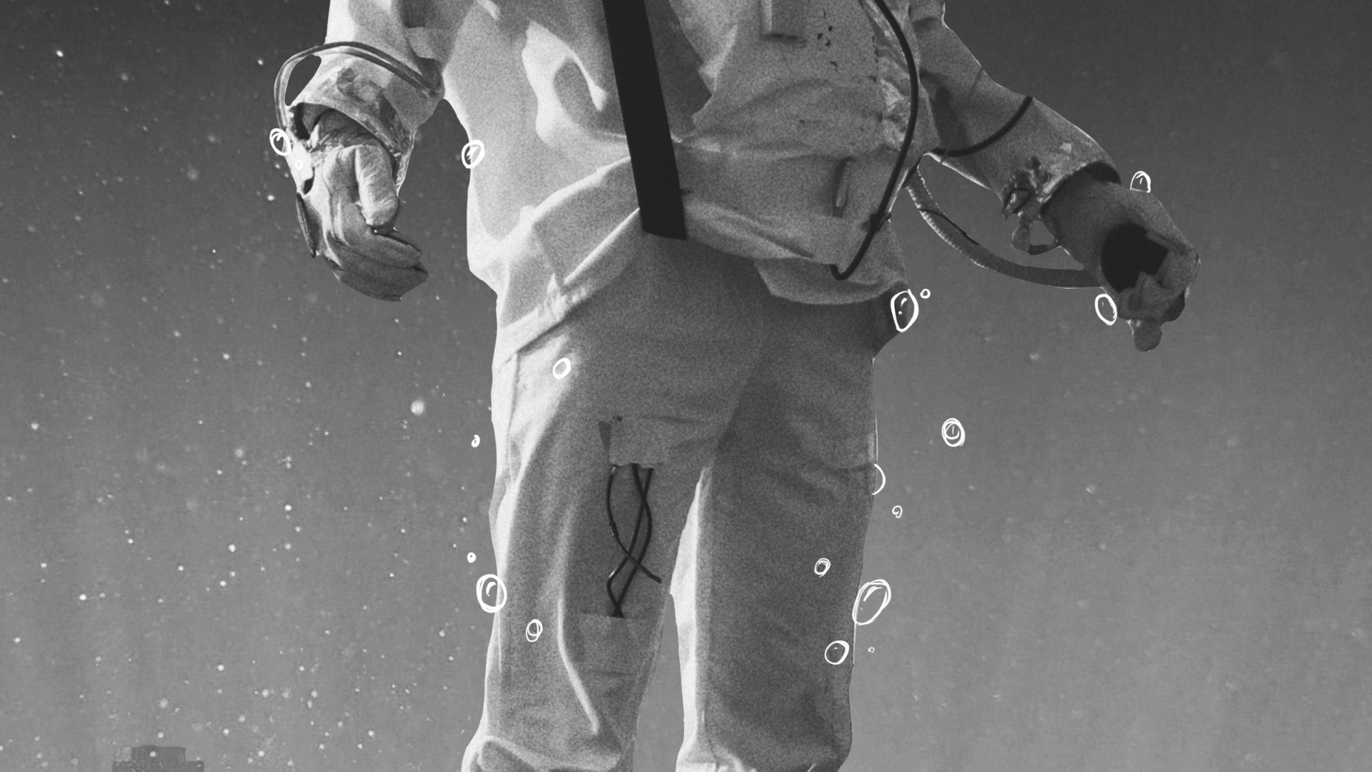 Manzana, Blanco, Humanos, Negro, Data. Wallpaper in 1920x1080 Resolution