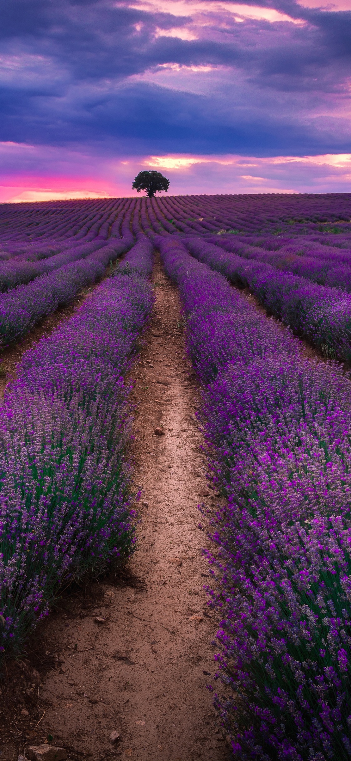 Tagsüber Grüne Wiese Unter Bewölktem Himmel. Wallpaper in 1125x2436 Resolution