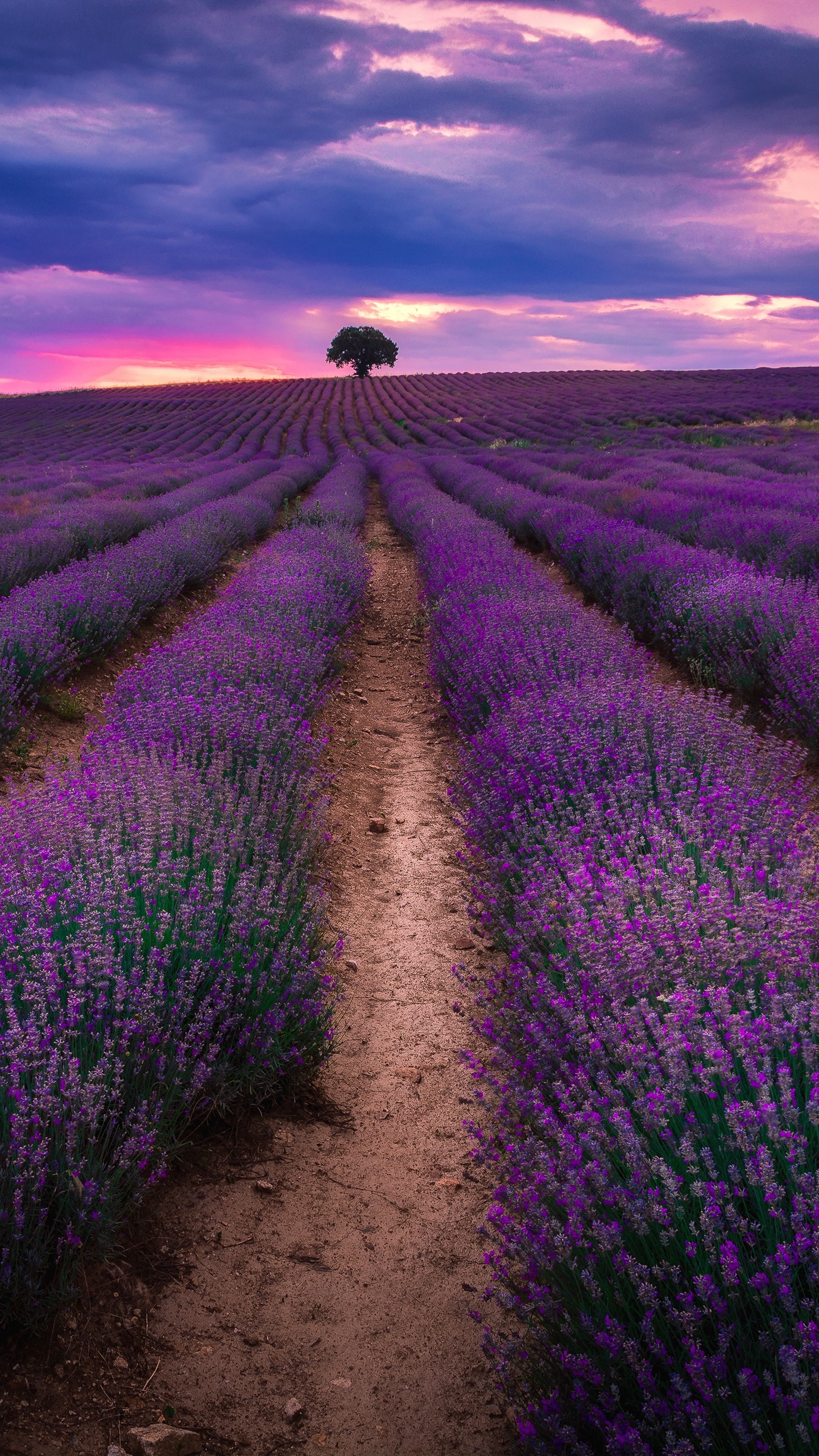 Tagsüber Grüne Wiese Unter Bewölktem Himmel. Wallpaper in 1440x2560 Resolution