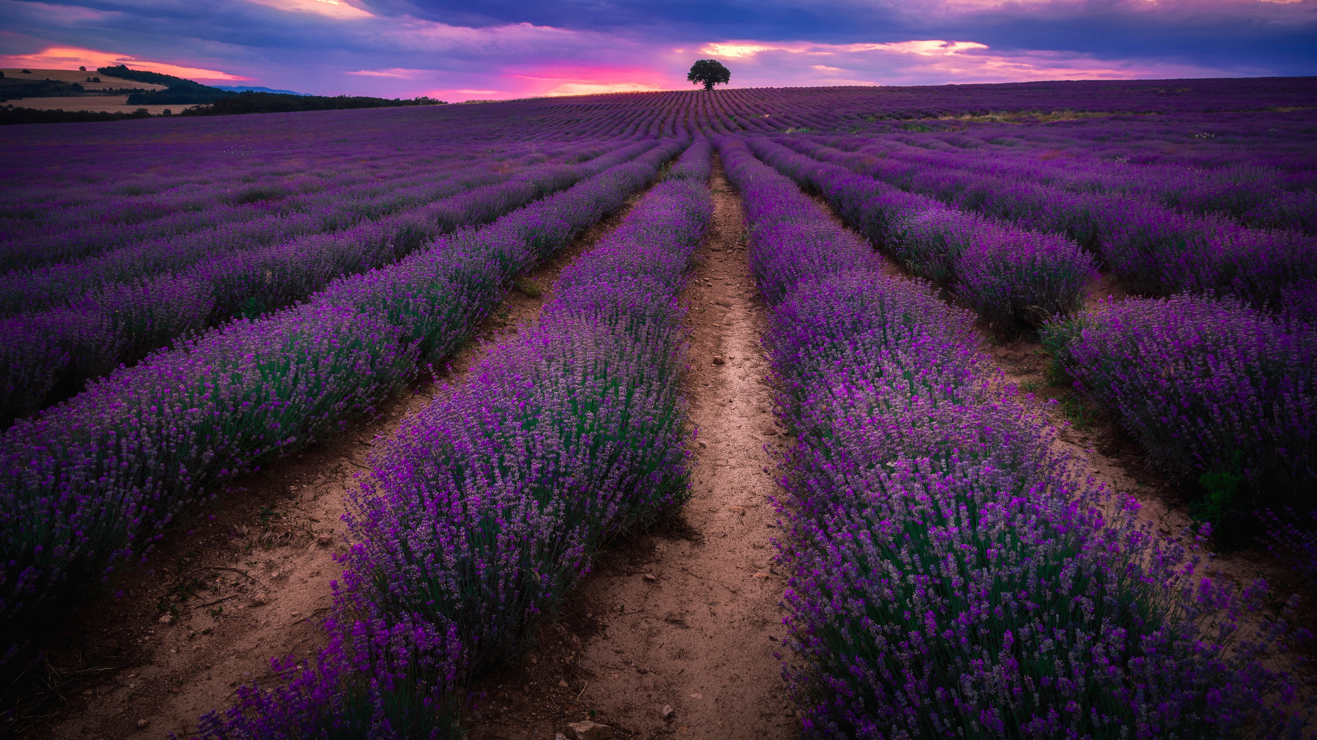 Campo de Hierba Verde Bajo el Cielo Nublado Durante el Día. Wallpaper in 1920x1080 Resolution
