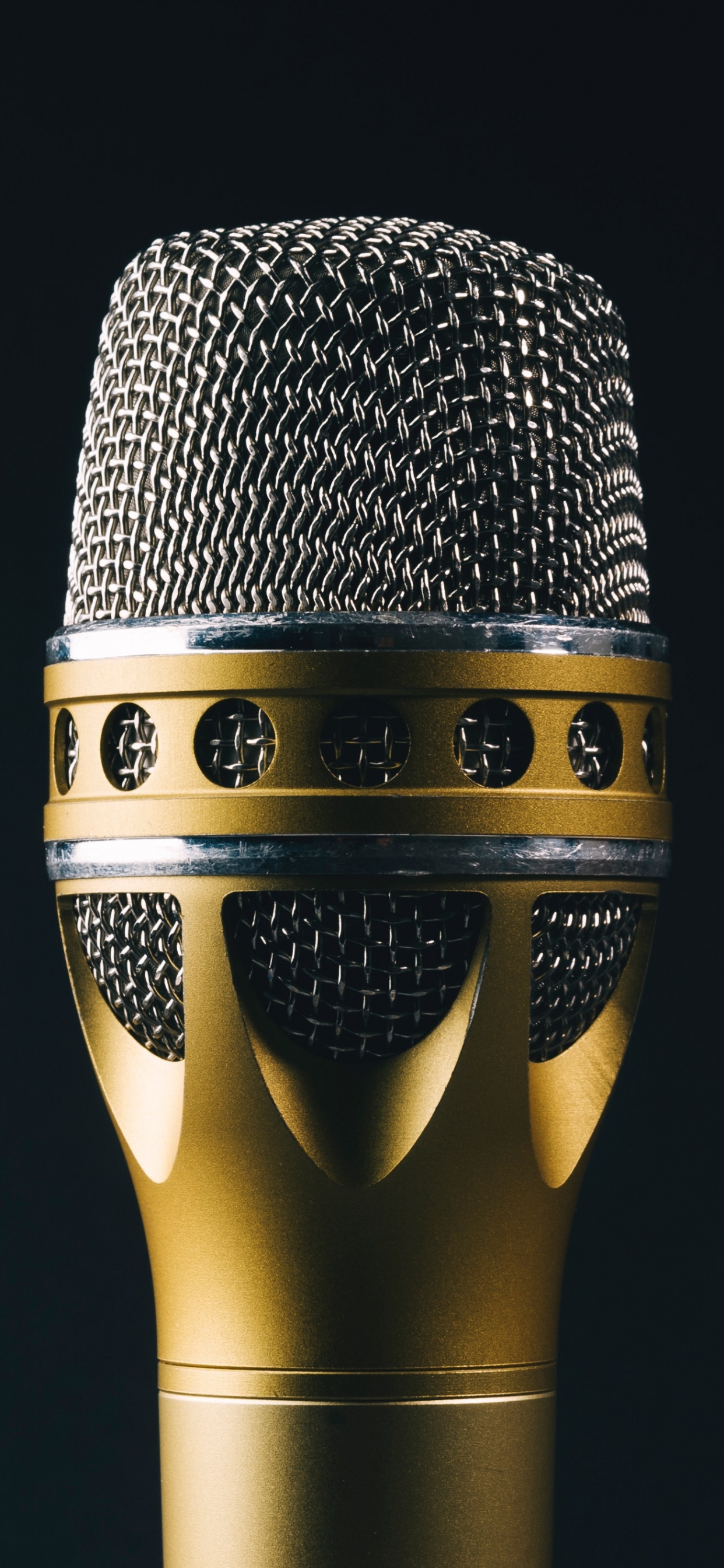 Microphone, Audio Equipment, Technology, Electronic Device, Metal. Wallpaper in 1242x2688 Resolution