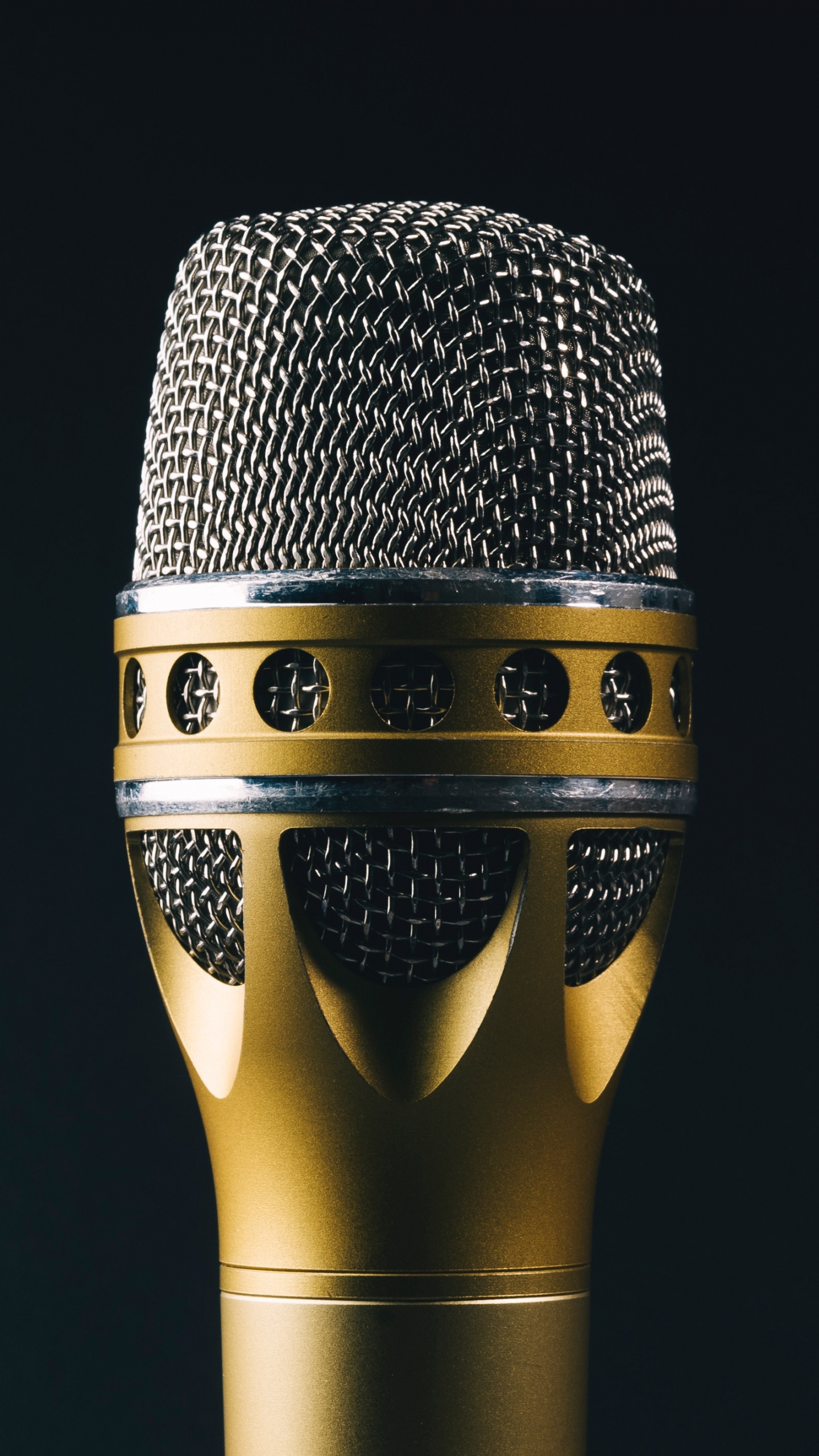 Microphone, Audio Equipment, Technology, Electronic Device, Metal. Wallpaper in 1440x2560 Resolution