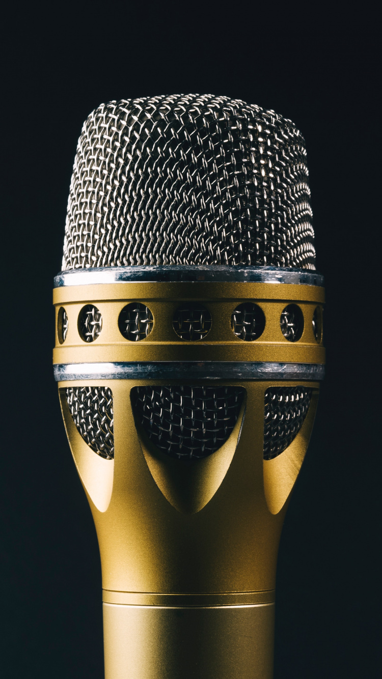 Microphone, Audio Equipment, Technology, Electronic Device, Metal. Wallpaper in 750x1334 Resolution