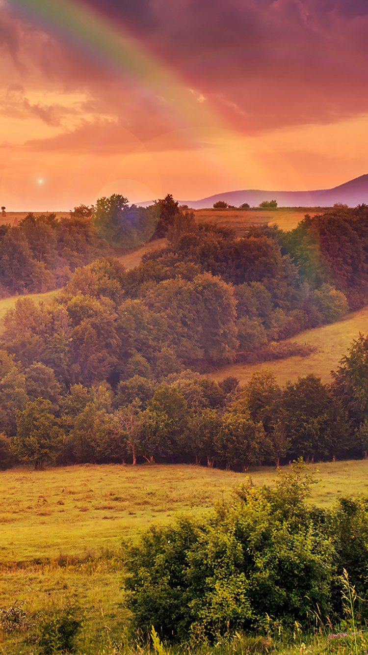 Green Grass Field Near Mountain Under Cloudy Sky During Daytime. Wallpaper in 750x1334 Resolution