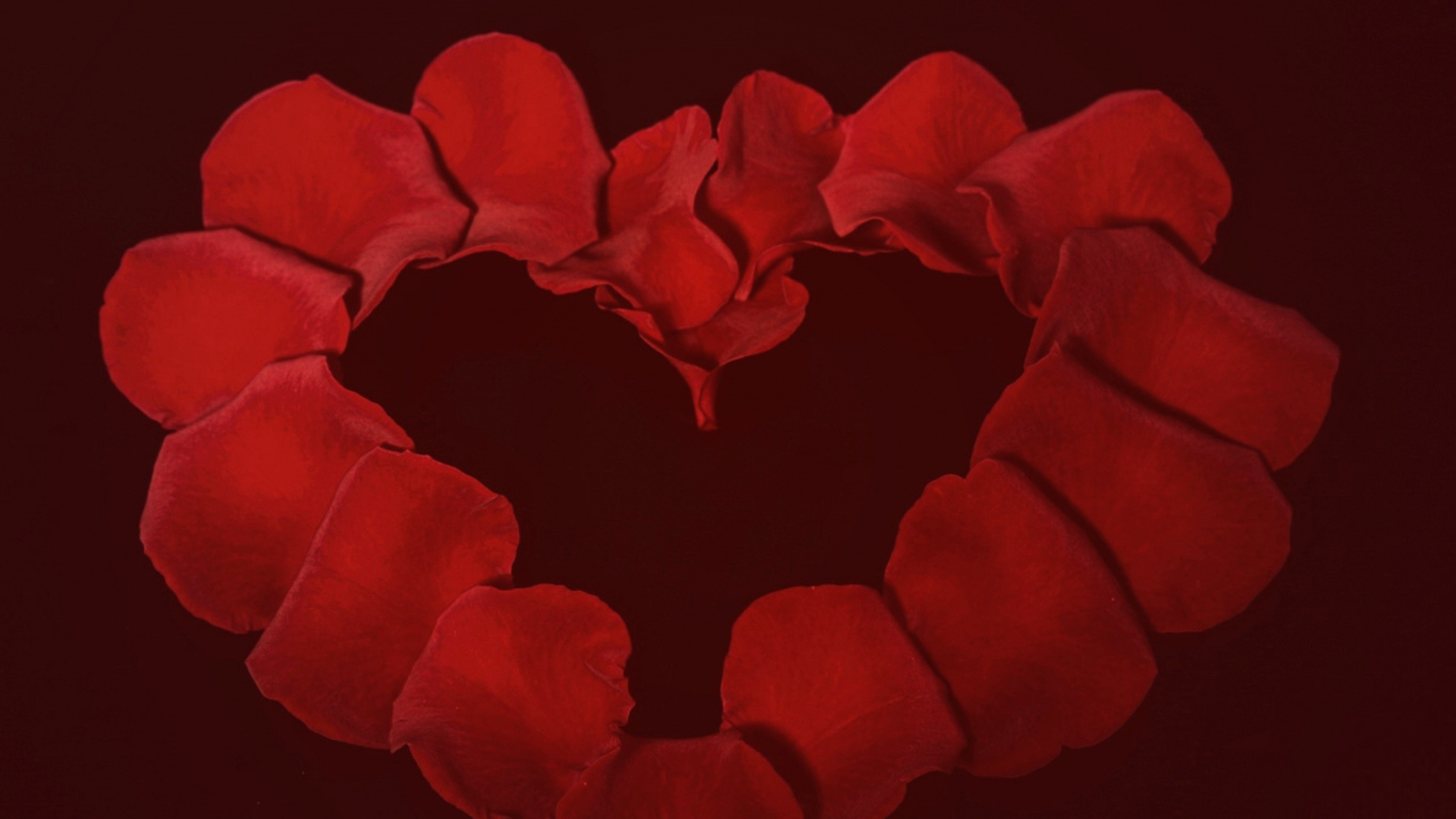 Garten Rosen, Herzen, Blütenblatt, Valentines Tag, Liebe. Wallpaper in 1366x768 Resolution