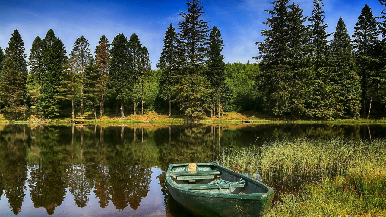 Wald, Baum, Riverboat, Fluss, Wasser. Wallpaper in 1280x720 Resolution