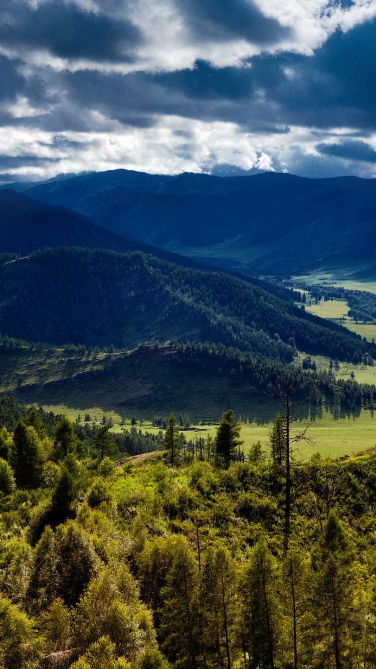 Green Trees on Mountain Under Blue Sky During Daytime. Wallpaper in 750x1334 Resolution