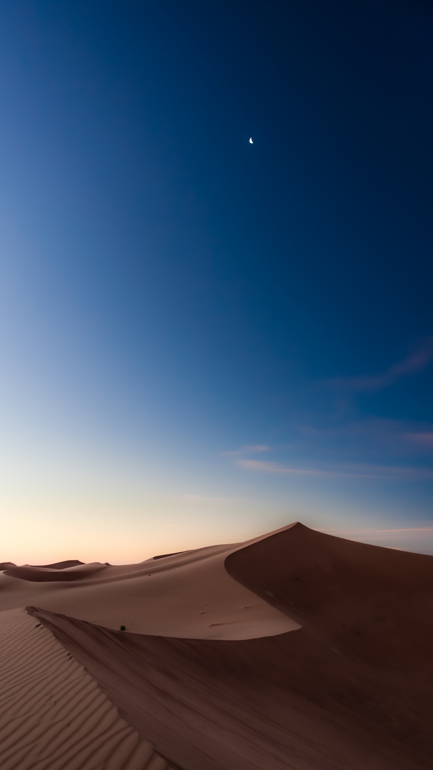 L'écorégion, Environnement Naturel, Paysage Naturel, Pente, Objet Astronomique. Wallpaper in 1440x2560 Resolution