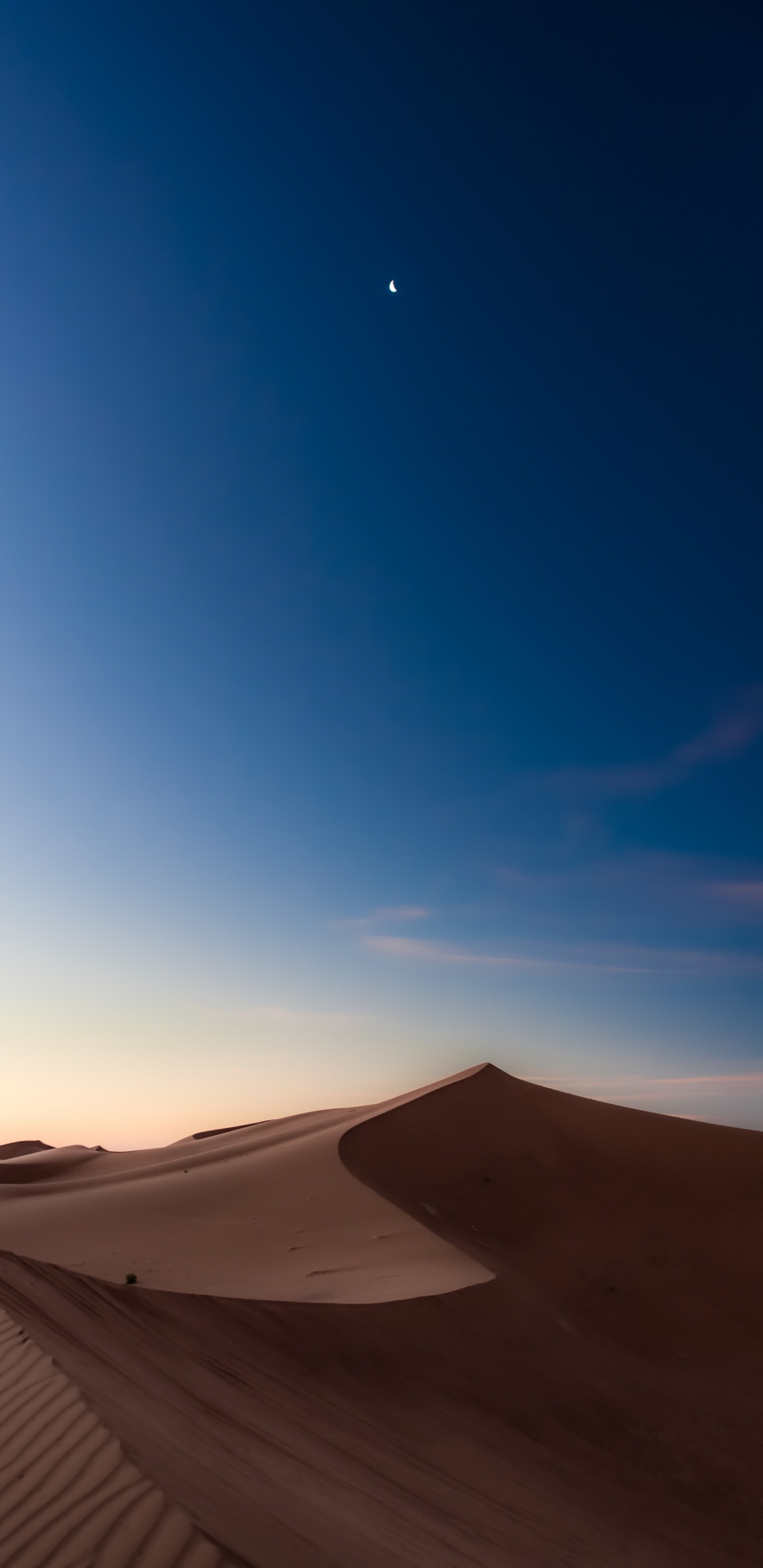 L'écorégion, Environnement Naturel, Paysage Naturel, Pente, Objet Astronomique. Wallpaper in 1440x2960 Resolution