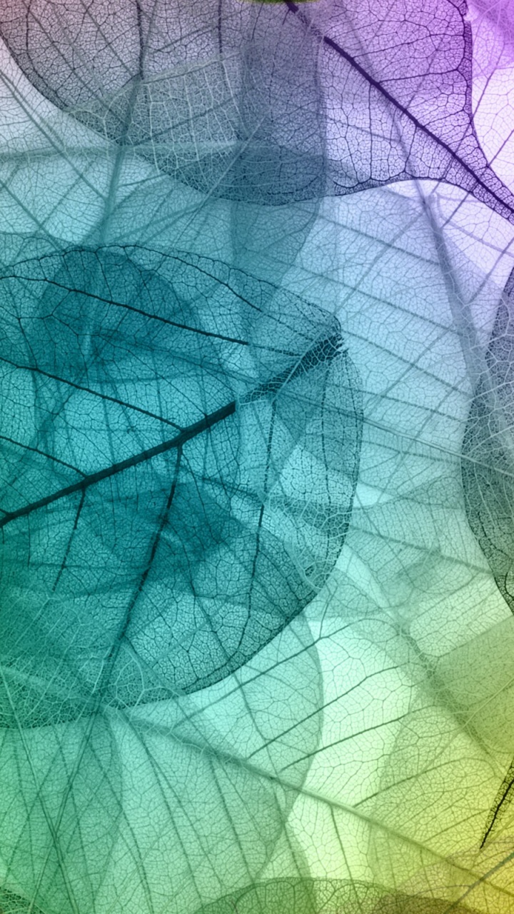 Purple and Yellow Floral Textile. Wallpaper in 720x1280 Resolution