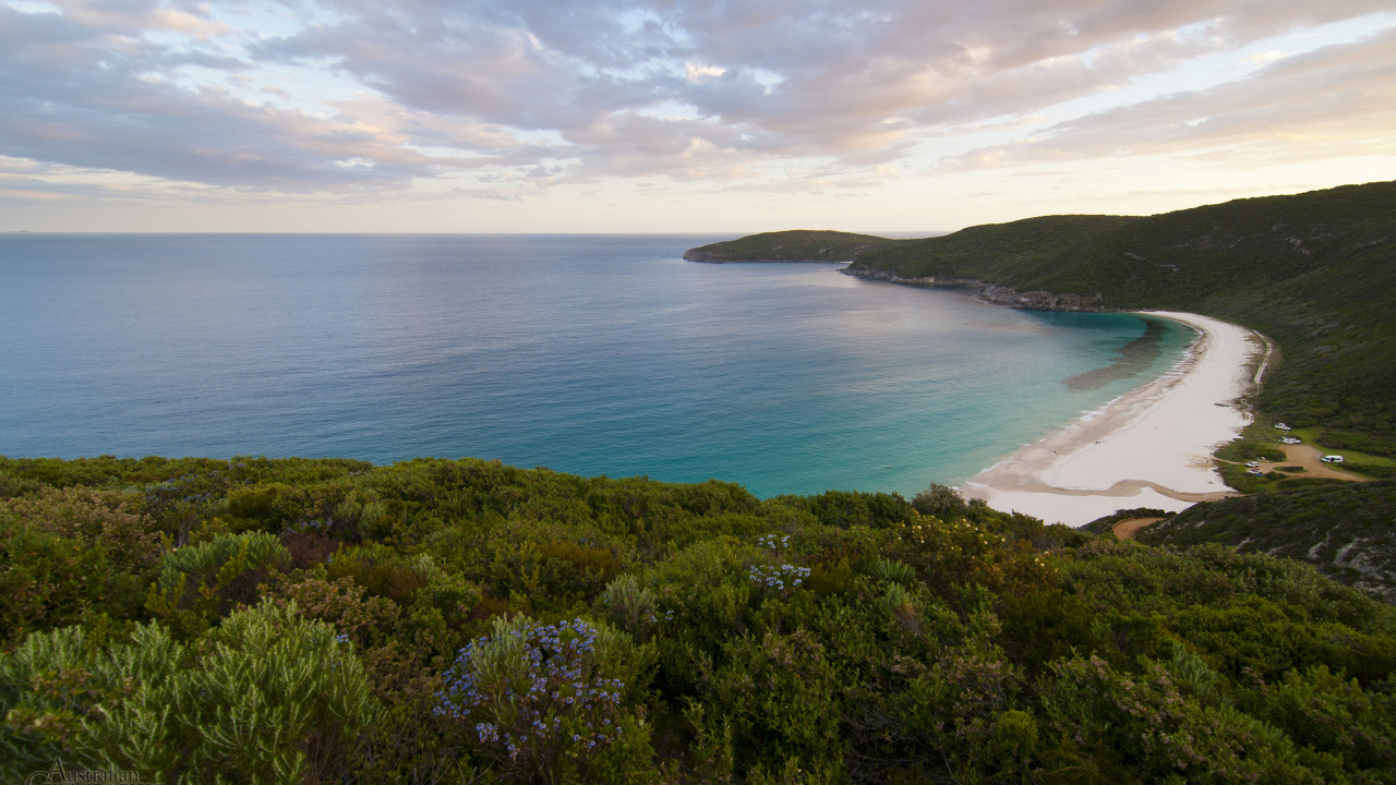 Grüne Bäume in Der Nähe Von Gewässern Tagsüber Water. Wallpaper in 1280x720 Resolution