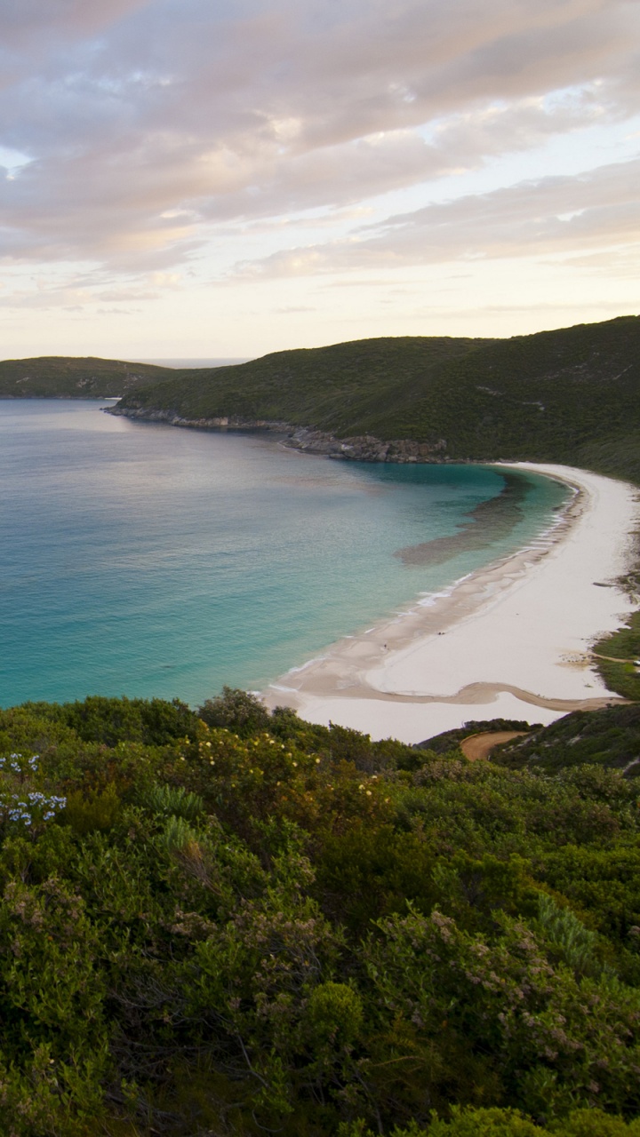 Grüne Bäume in Der Nähe Von Gewässern Tagsüber Water. Wallpaper in 720x1280 Resolution