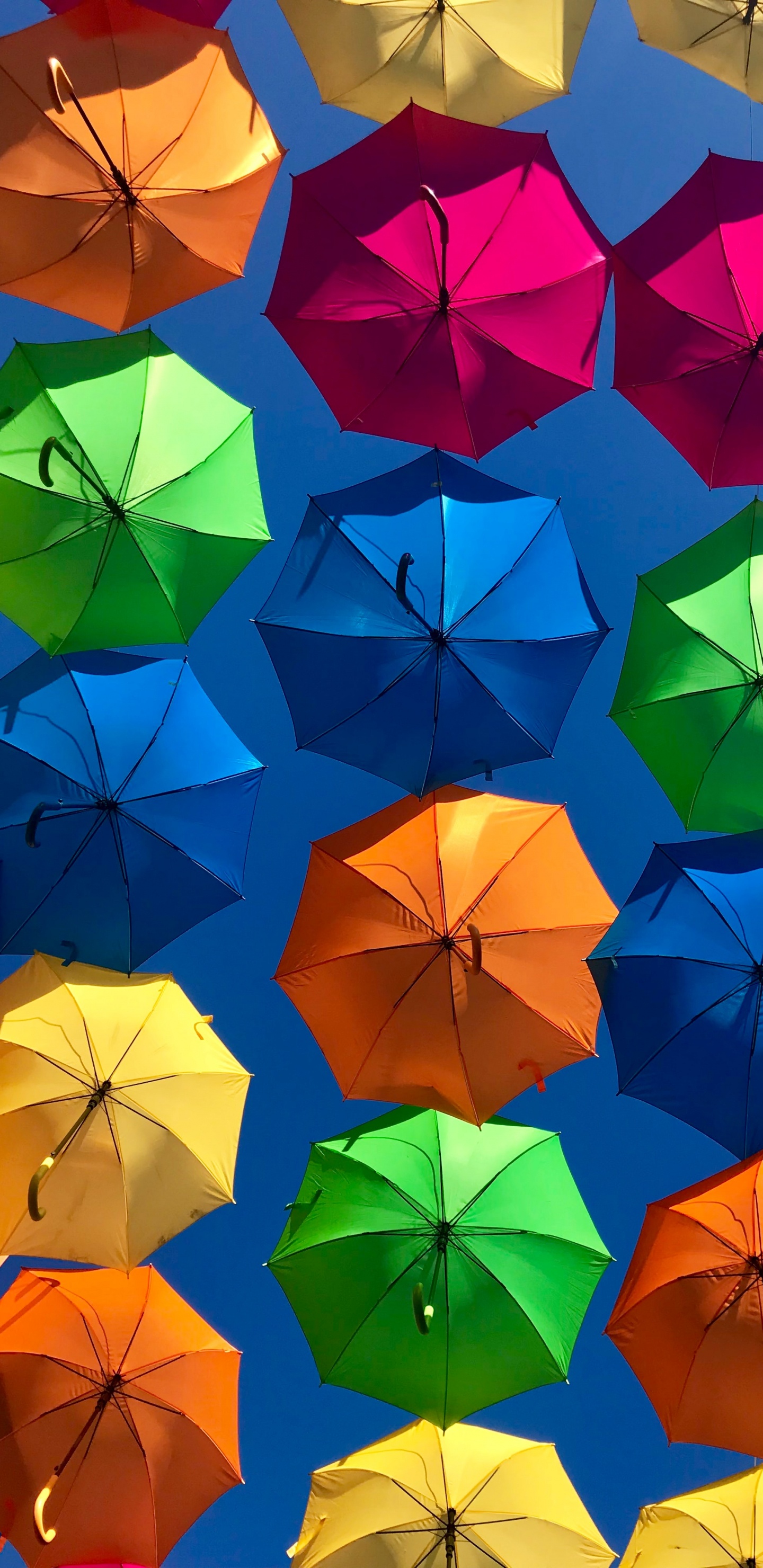 Bunter Regenschirm, Regenschirm, Farbwert, Licht, Natur. Wallpaper in 1440x2960 Resolution