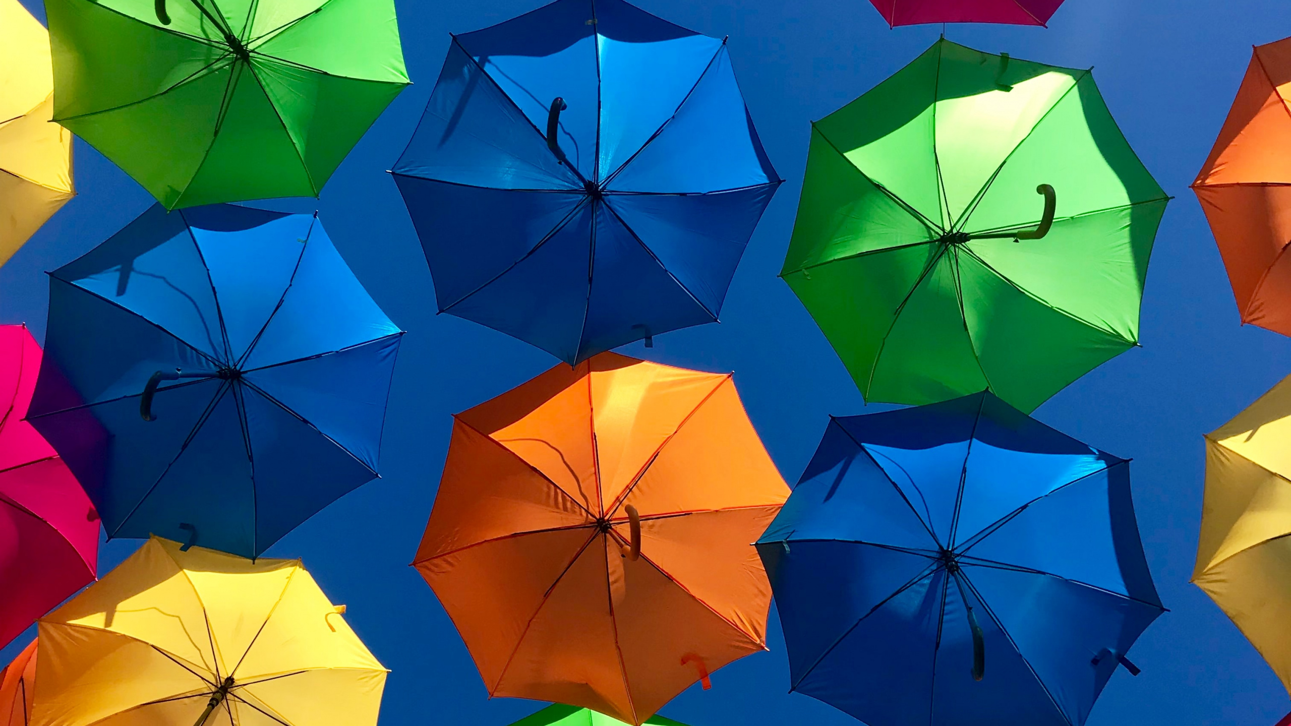 Bunter Regenschirm, Regenschirm, Farbwert, Licht, Natur. Wallpaper in 2560x1440 Resolution