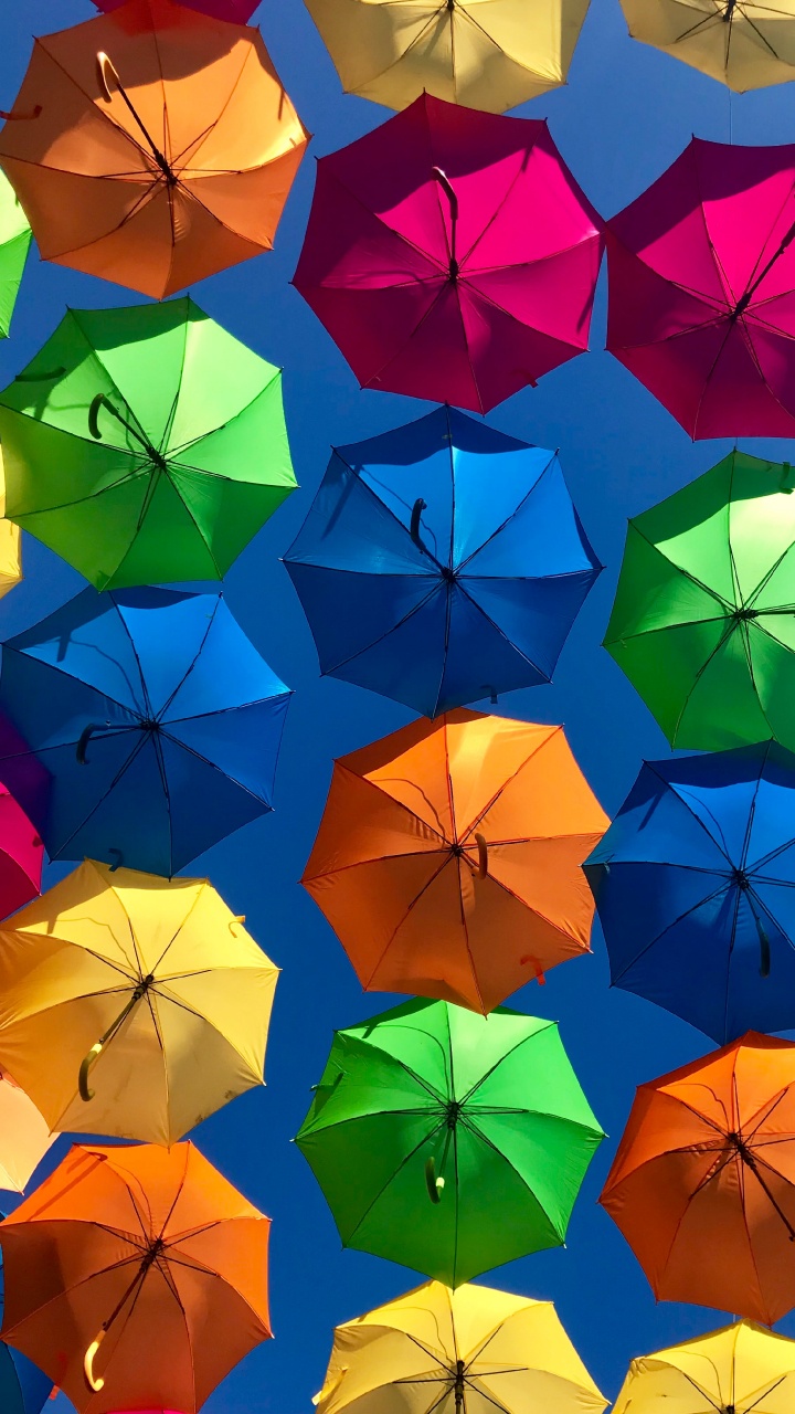 Parapluie Coloré, Parapluie, Couleur, Lumière, Nature. Wallpaper in 720x1280 Resolution