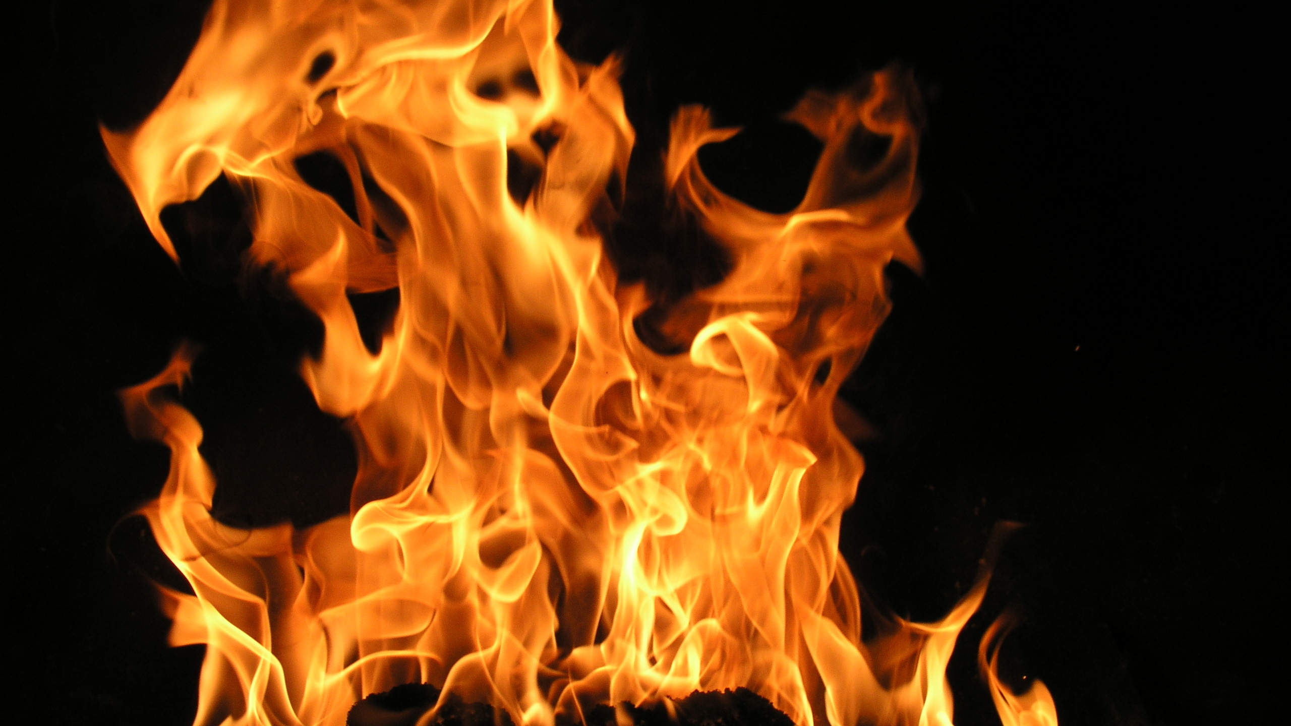 Fire in Black Background With Black Background. Wallpaper in 2560x1440 Resolution