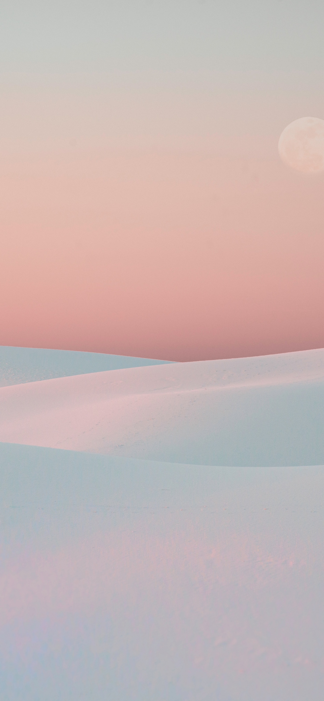 Blanco, Rosa, Entorno Natural, Ambiente, Mañana. Wallpaper in 1242x2688 Resolution