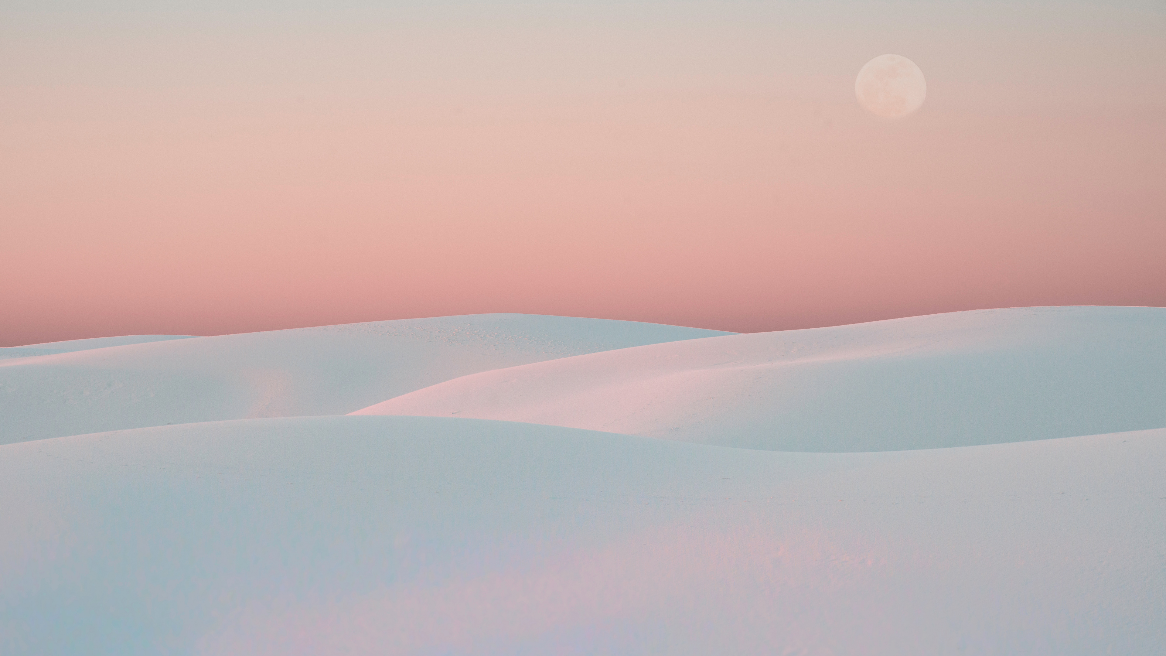 Blanco, Rosa, Entorno Natural, Ambiente, Mañana. Wallpaper in 3840x2160 Resolution