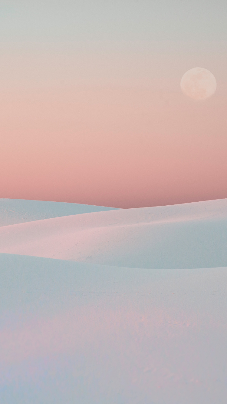 Blanco, Rosa, Entorno Natural, Ambiente, Mañana. Wallpaper in 750x1334 Resolution