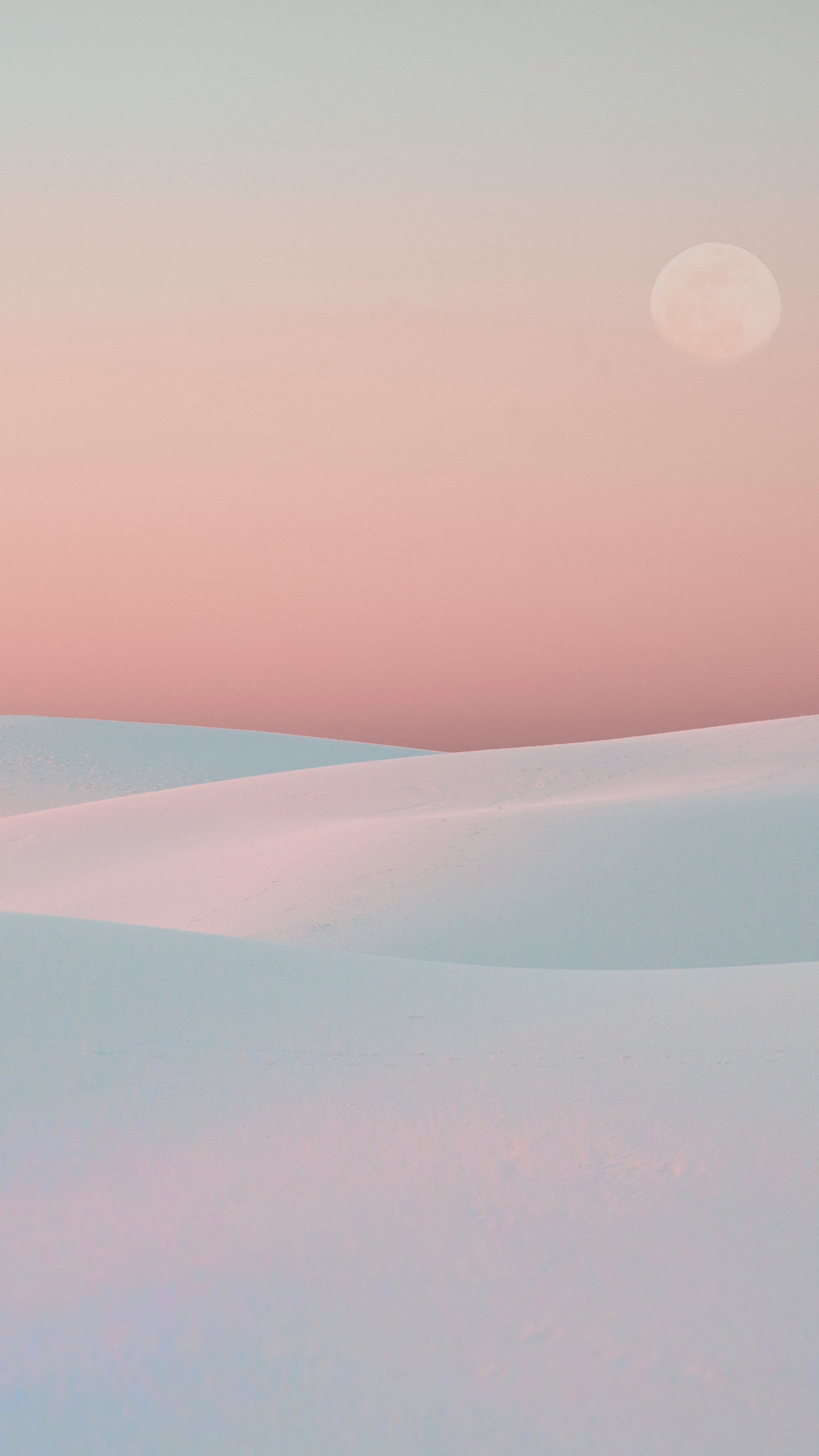 White, Pink, la Journée, Environnement Naturel, Atmosphère. Wallpaper in 1440x2560 Resolution