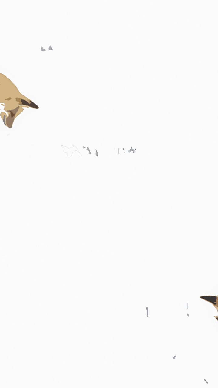 红狐狸, Procyonidae, 生态区, 小鹿, 陆地动物 壁纸 720x1280 允许